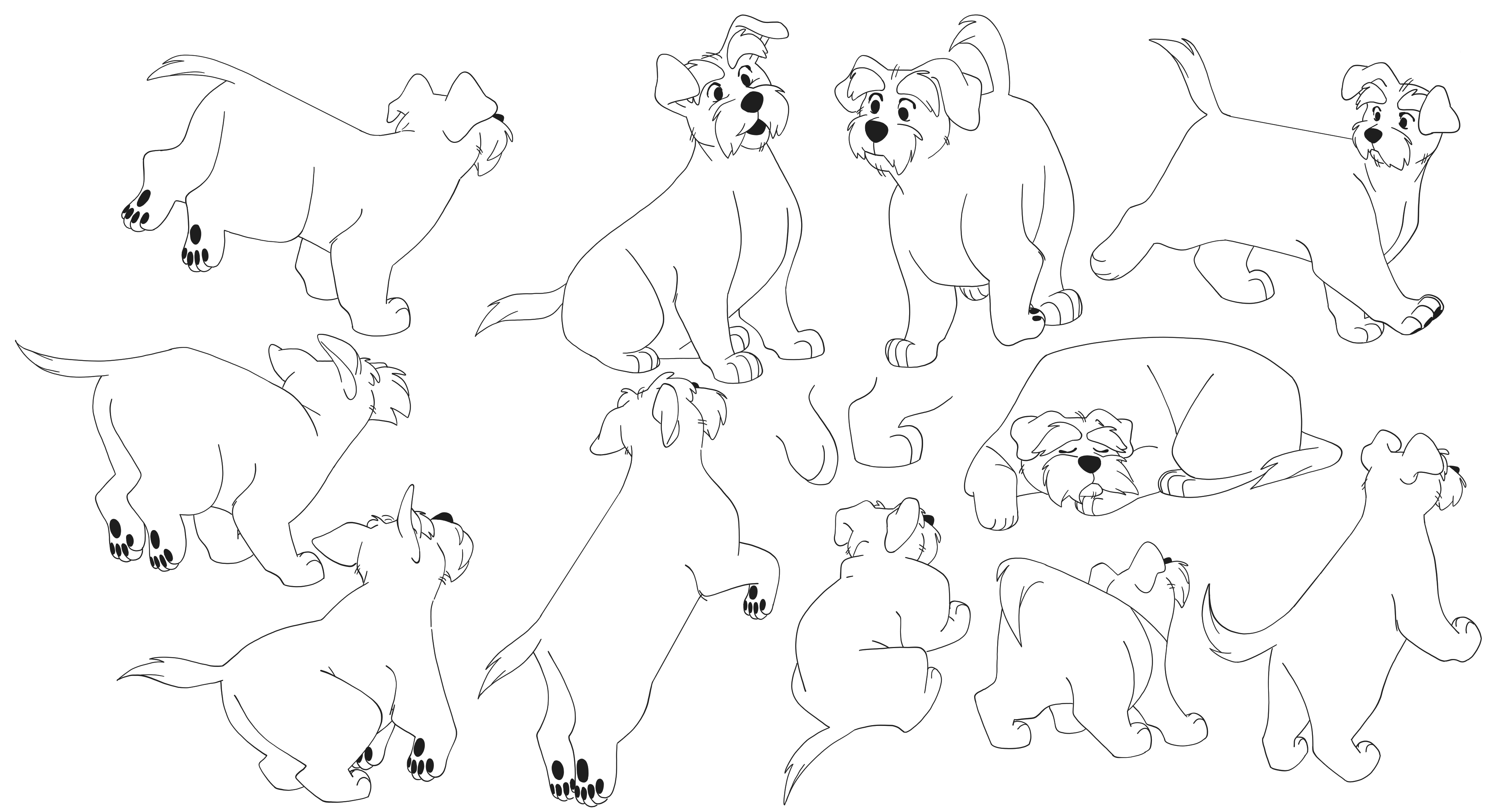 Dog Poses