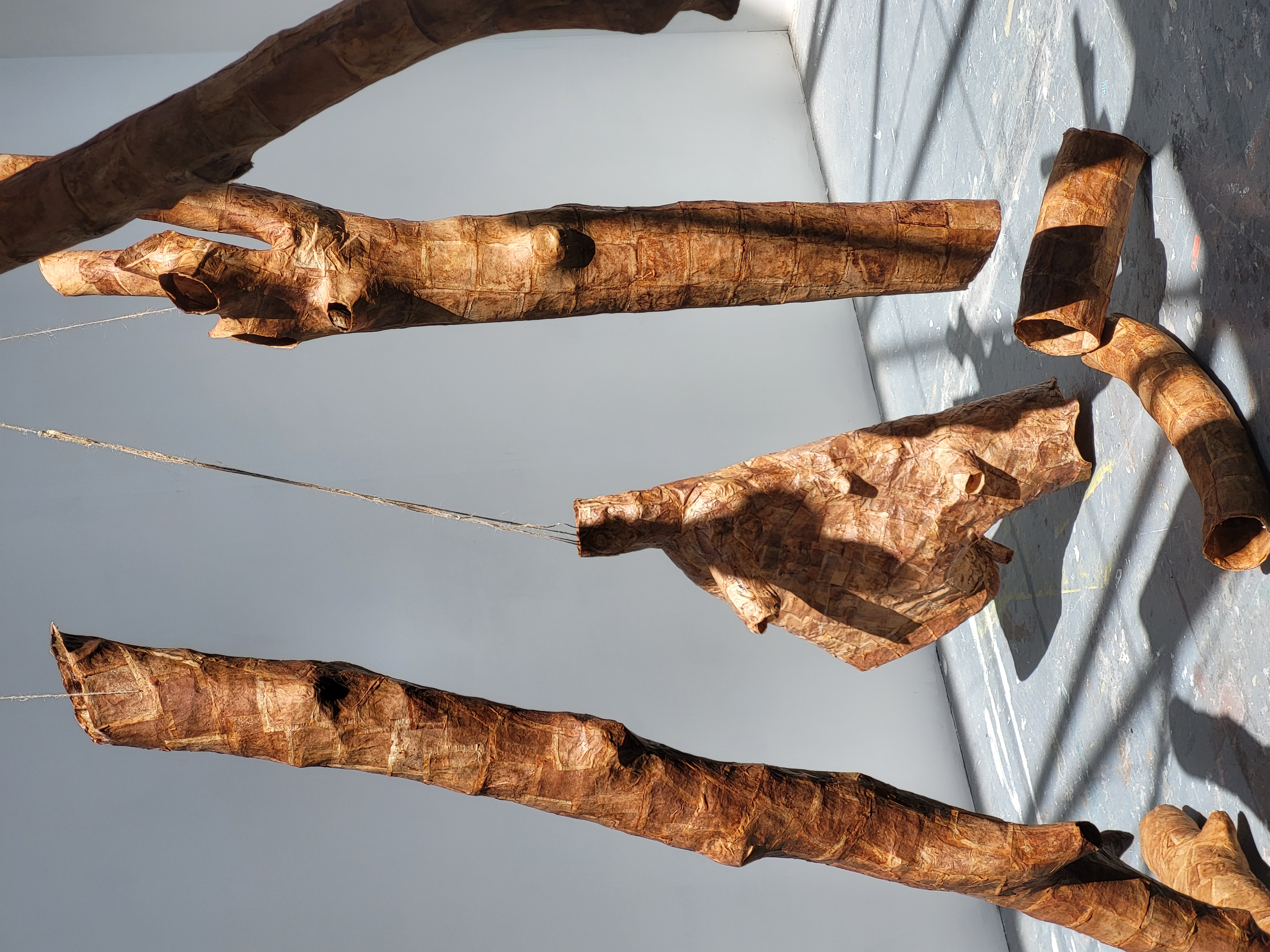 Detail 'Here There and Everywhere' 2025, dimensions variable.