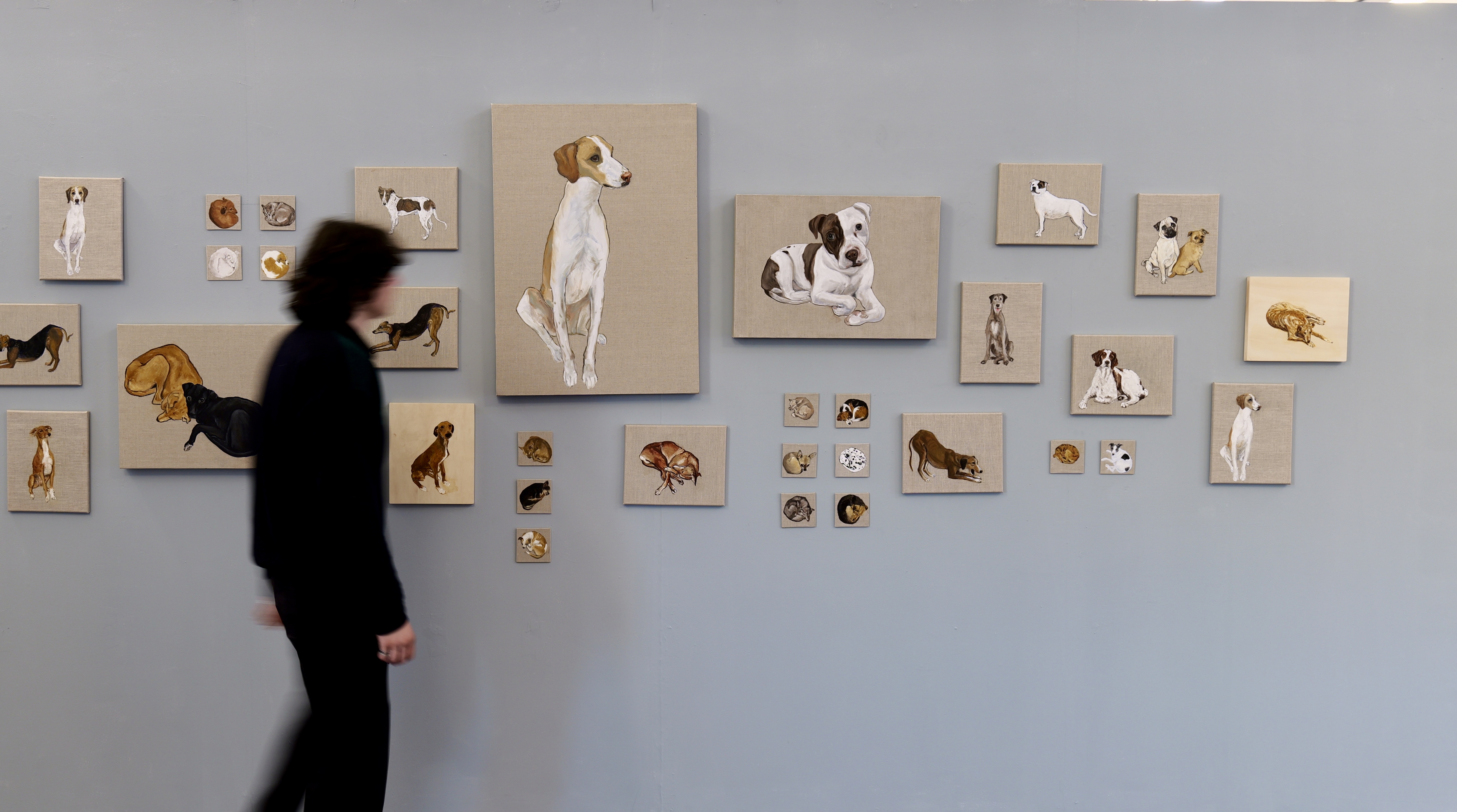 person viewing paintings on gallery wall