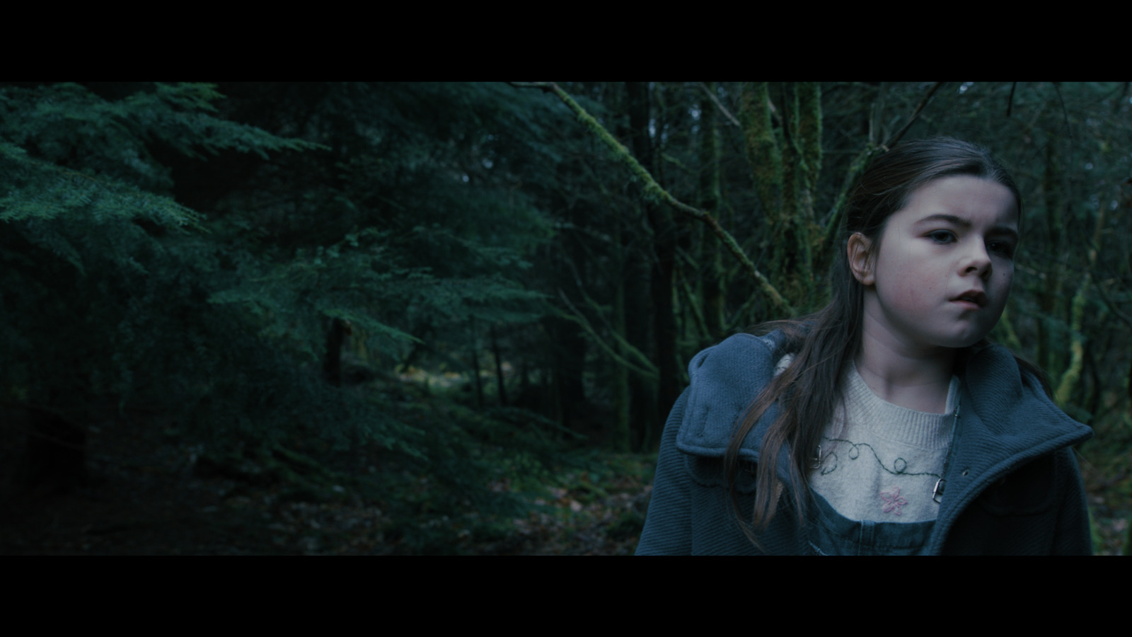 A young girl stares off into the forest.