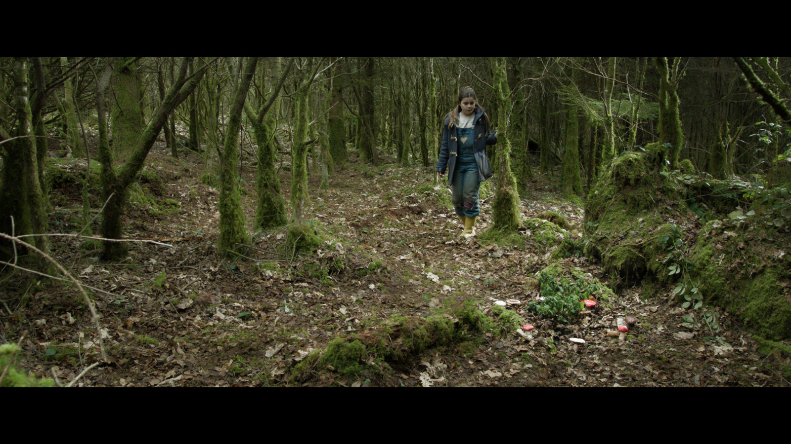 A young girl states at a small fairy ring in a clearing