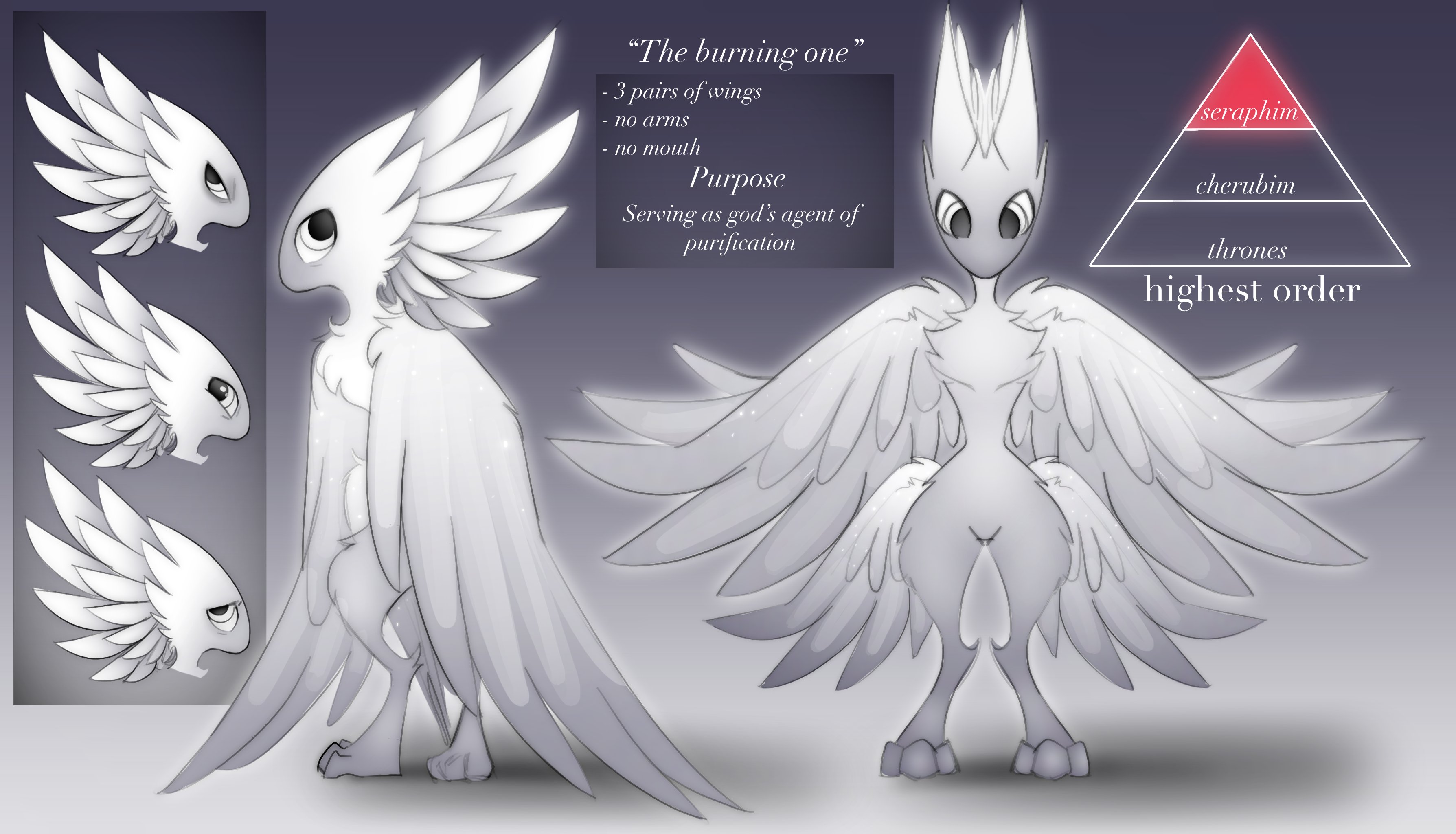 Angel 1st Character Design