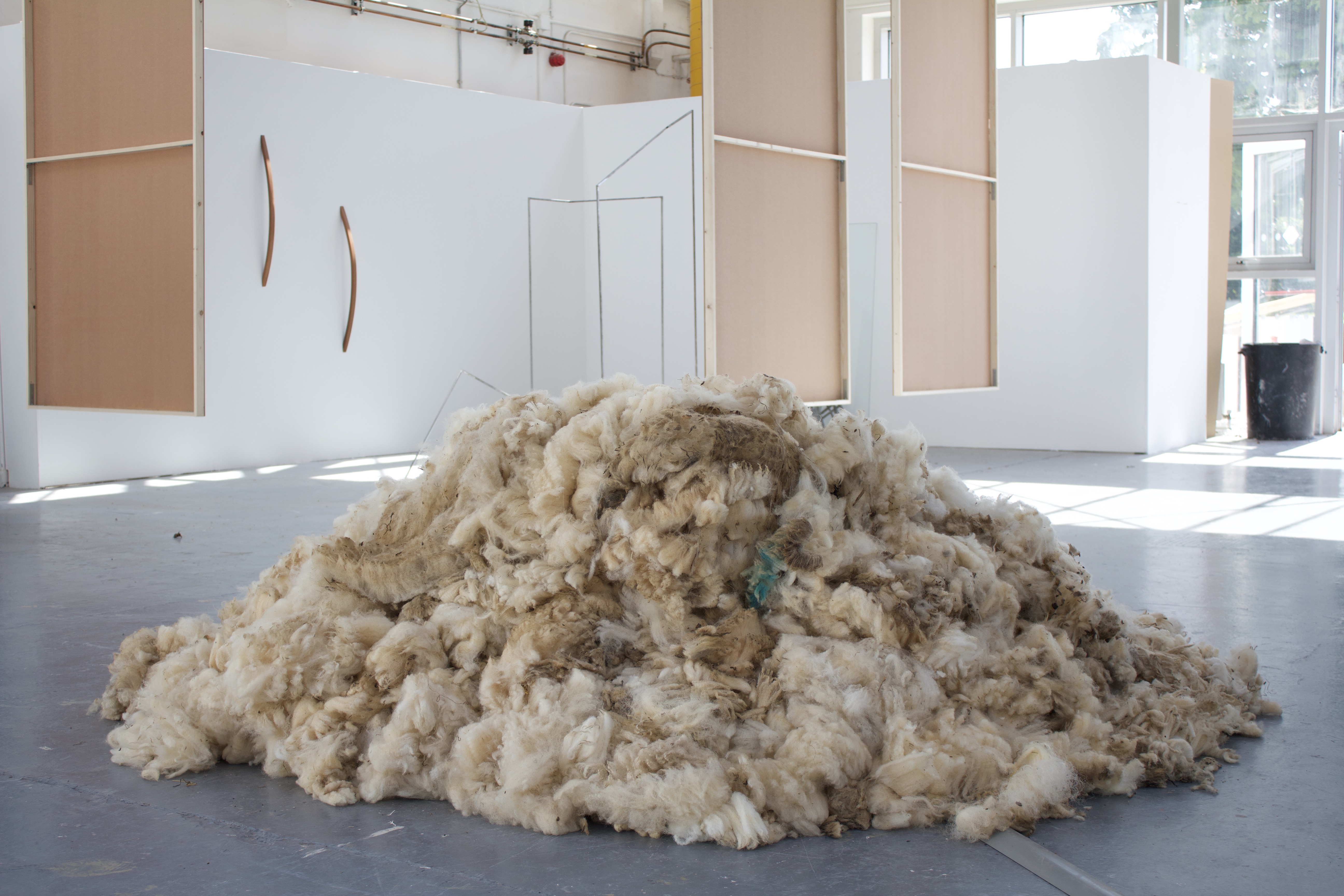 mound of raw sheep's wool