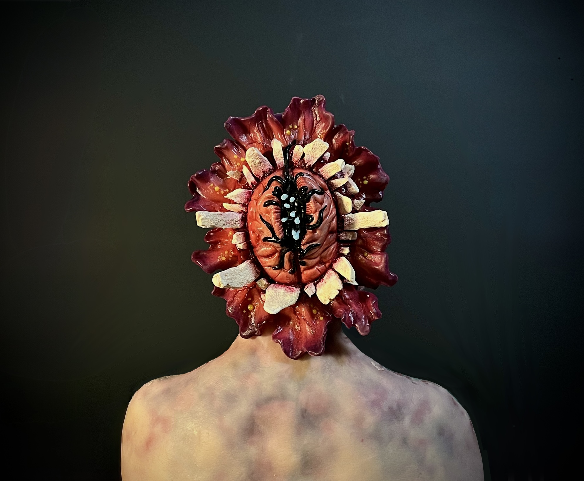 front view of skull ripper in black box