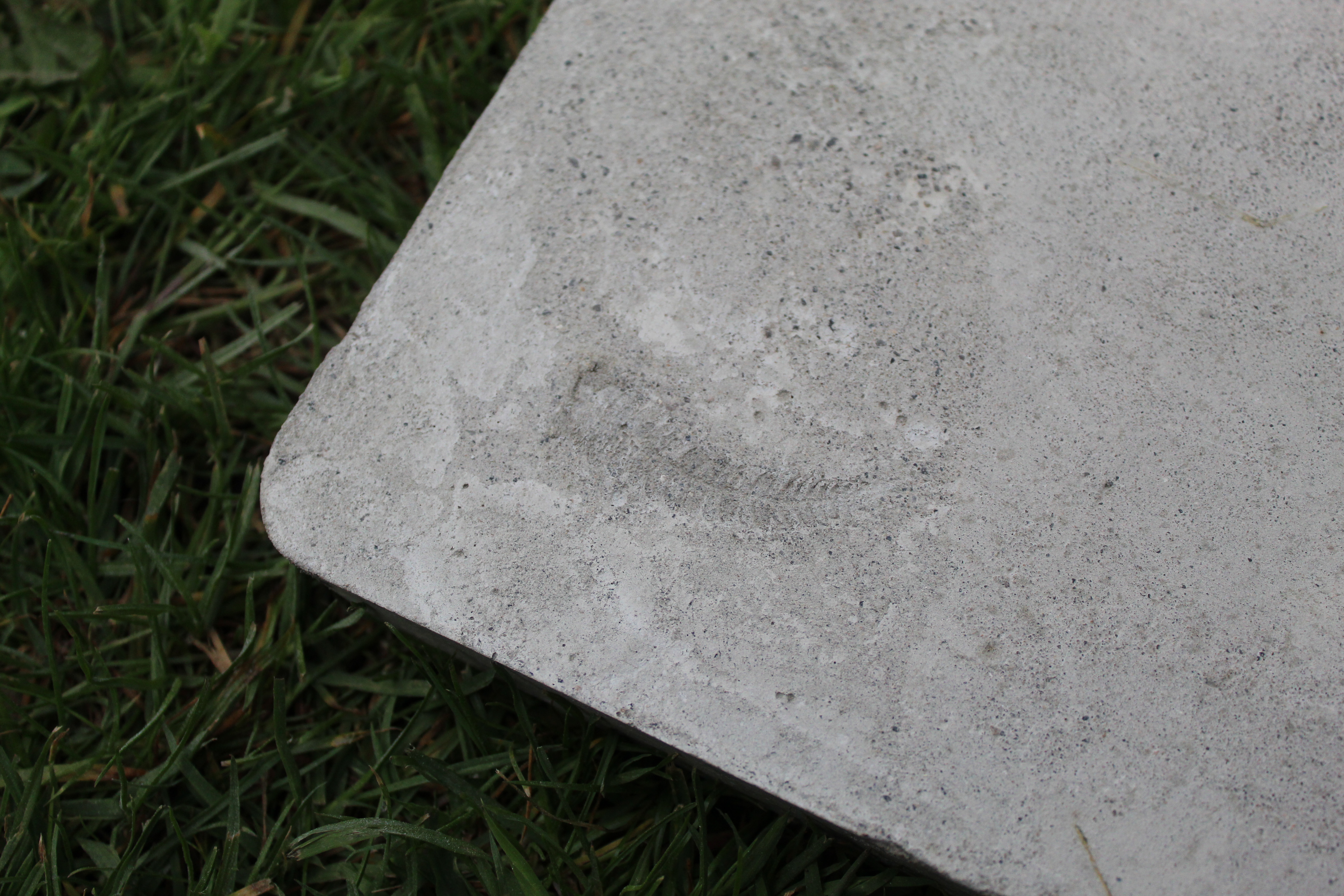 concrete block with fern impression
