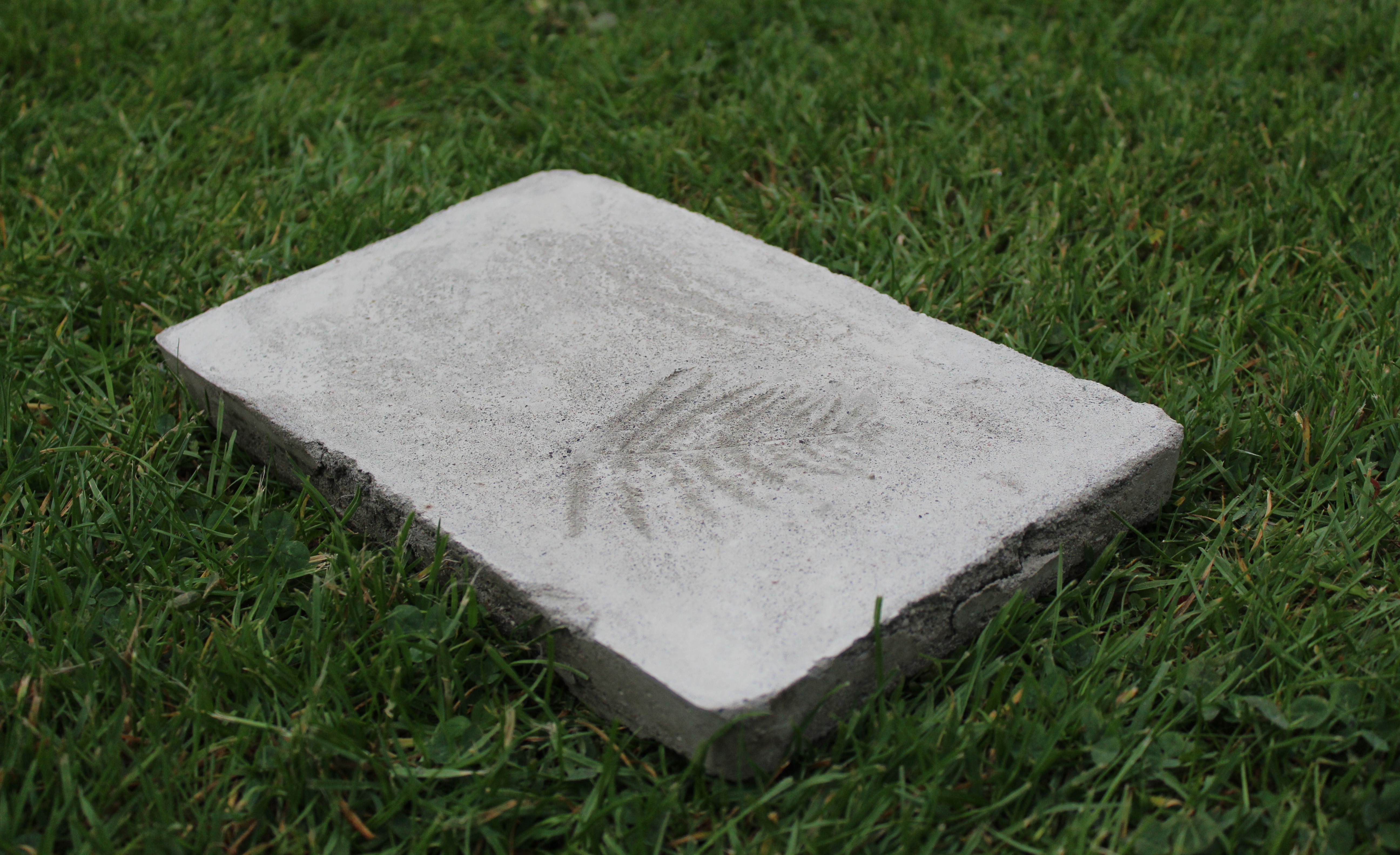 concrete block with fern impression