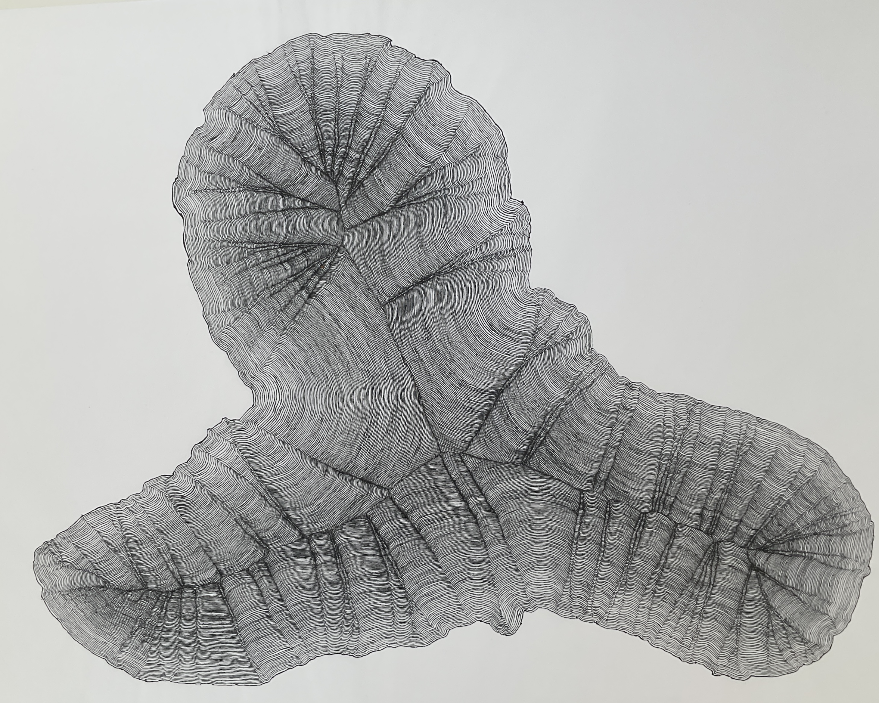 'Life Time', 2025, Fine line drawing on Japanese paper, 95 x 65 cm. 