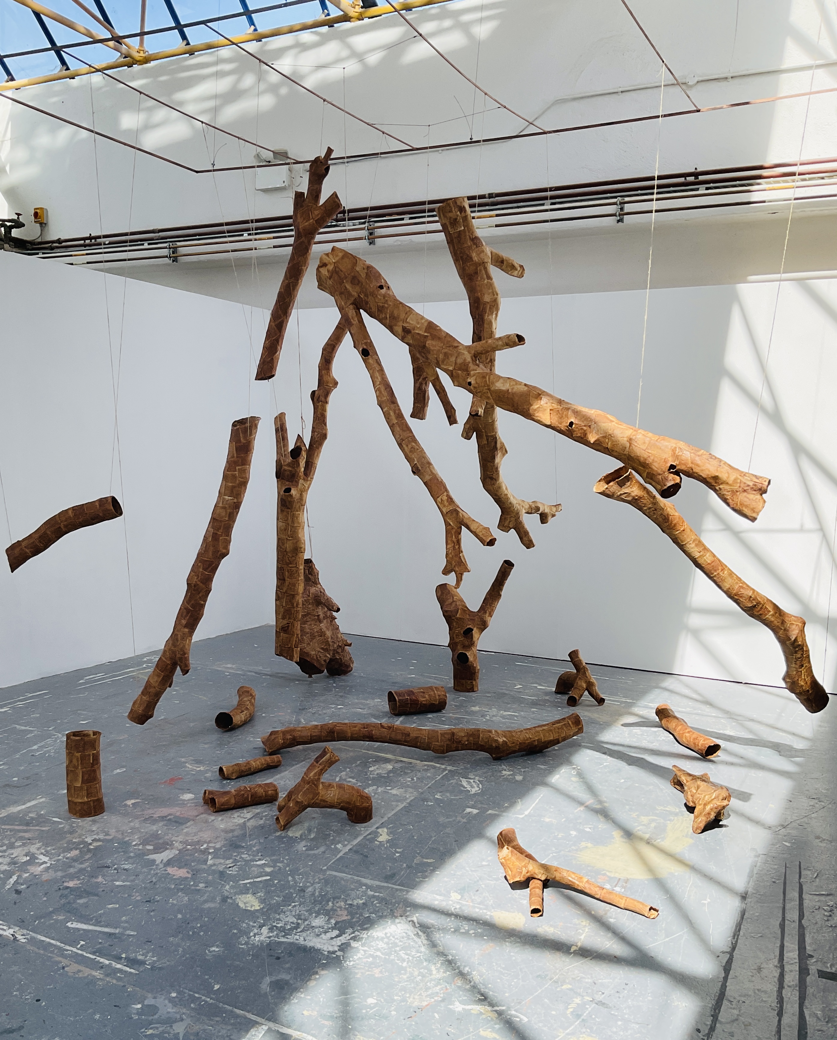 Bernadette Ryan, 'Here There and Everywhere', 2025, Installation.