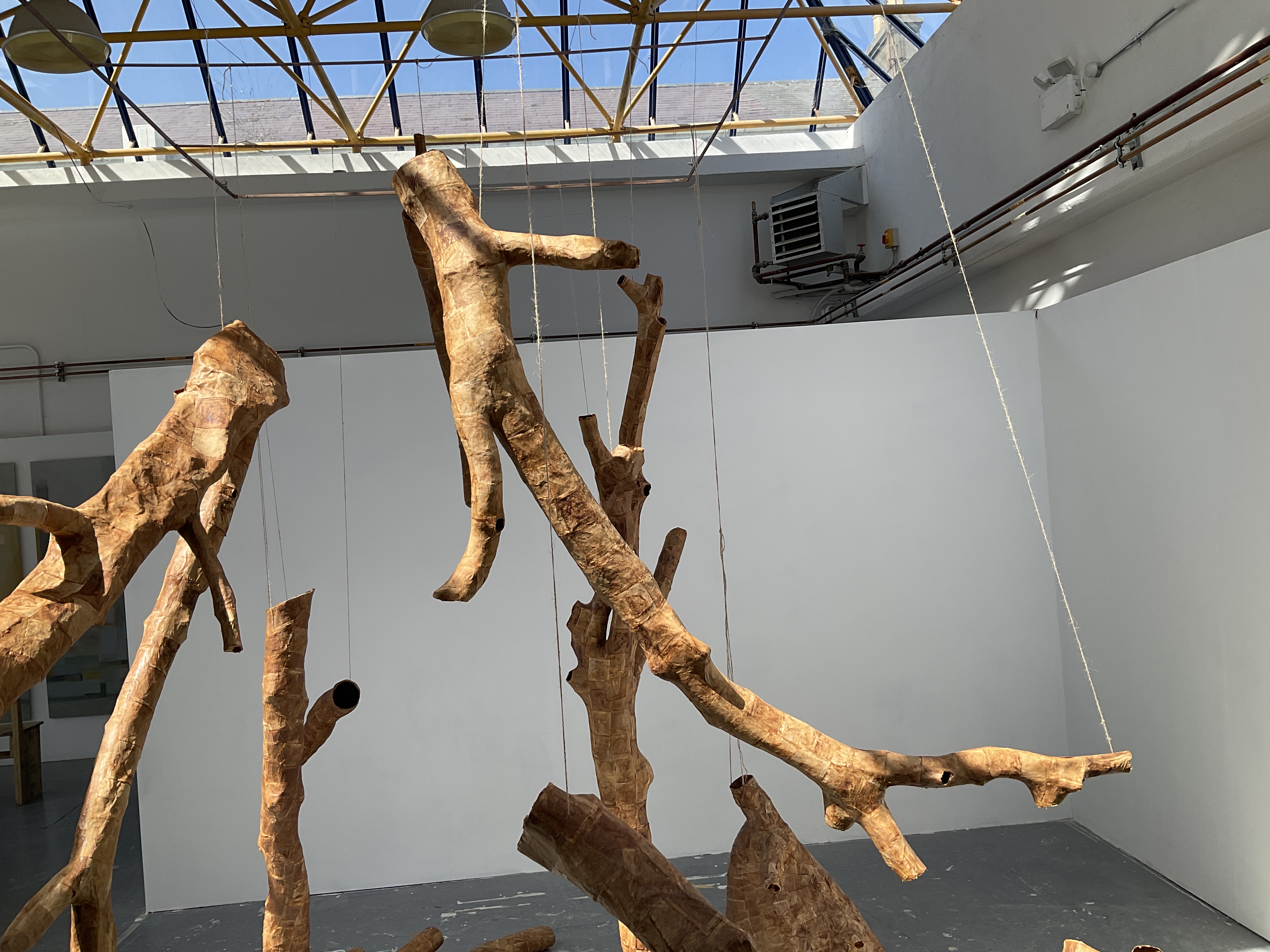 'Here There and Everywhere' 2025, naturally dried used tea bags, size variable.