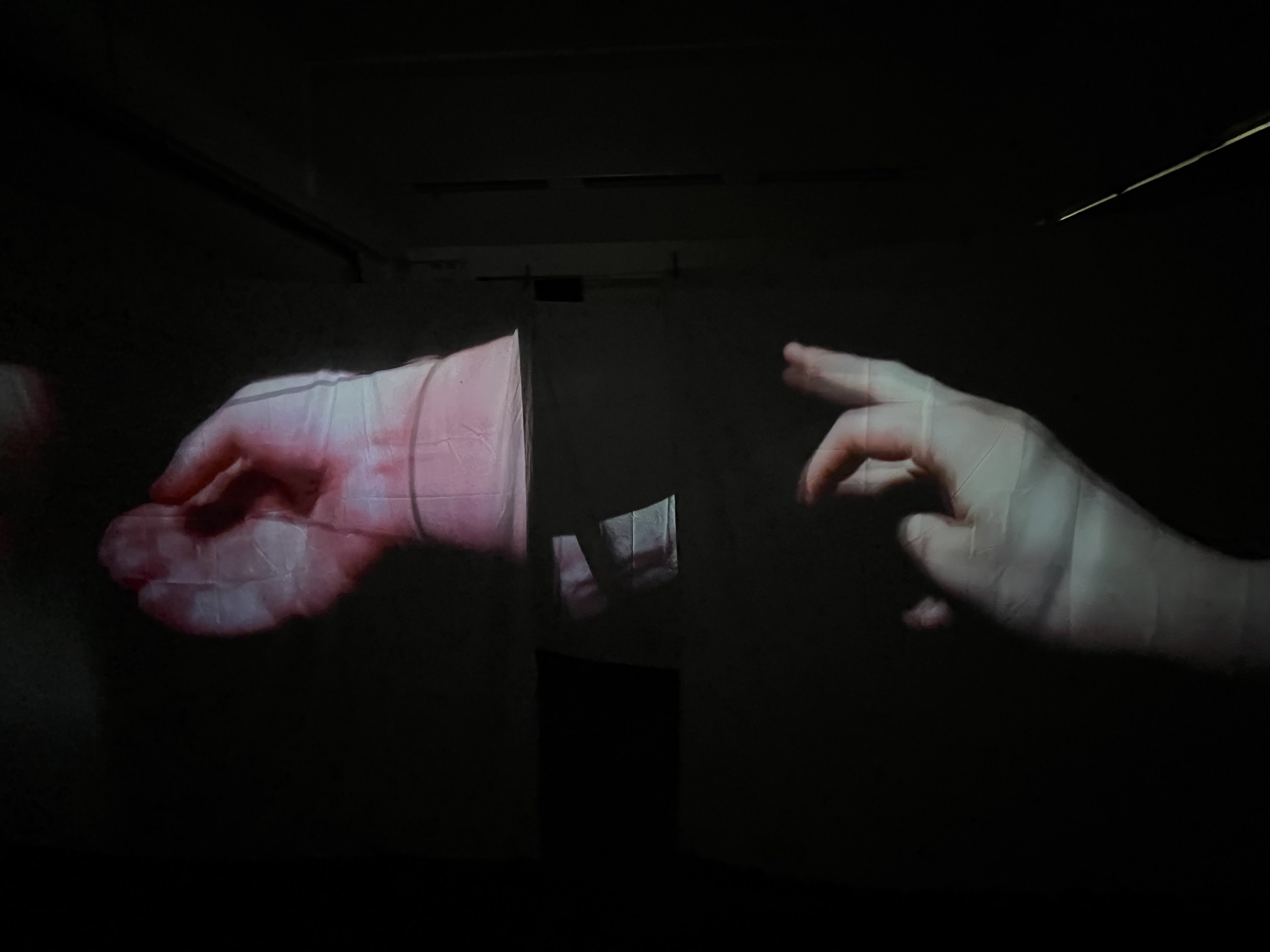 My Body Remembers What I Can't. Installation view, video, dimensions variable