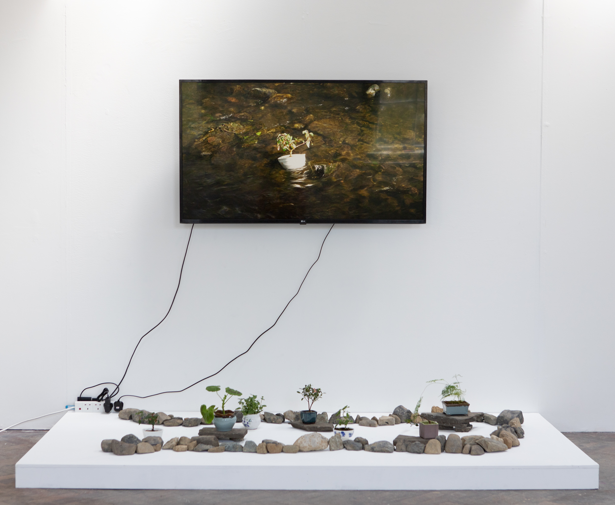 Adrian Uzzaman, ‘Conditions for Growth’, 2025. Video and installation , 244cm x 122cm x 16cm/7 minutes.