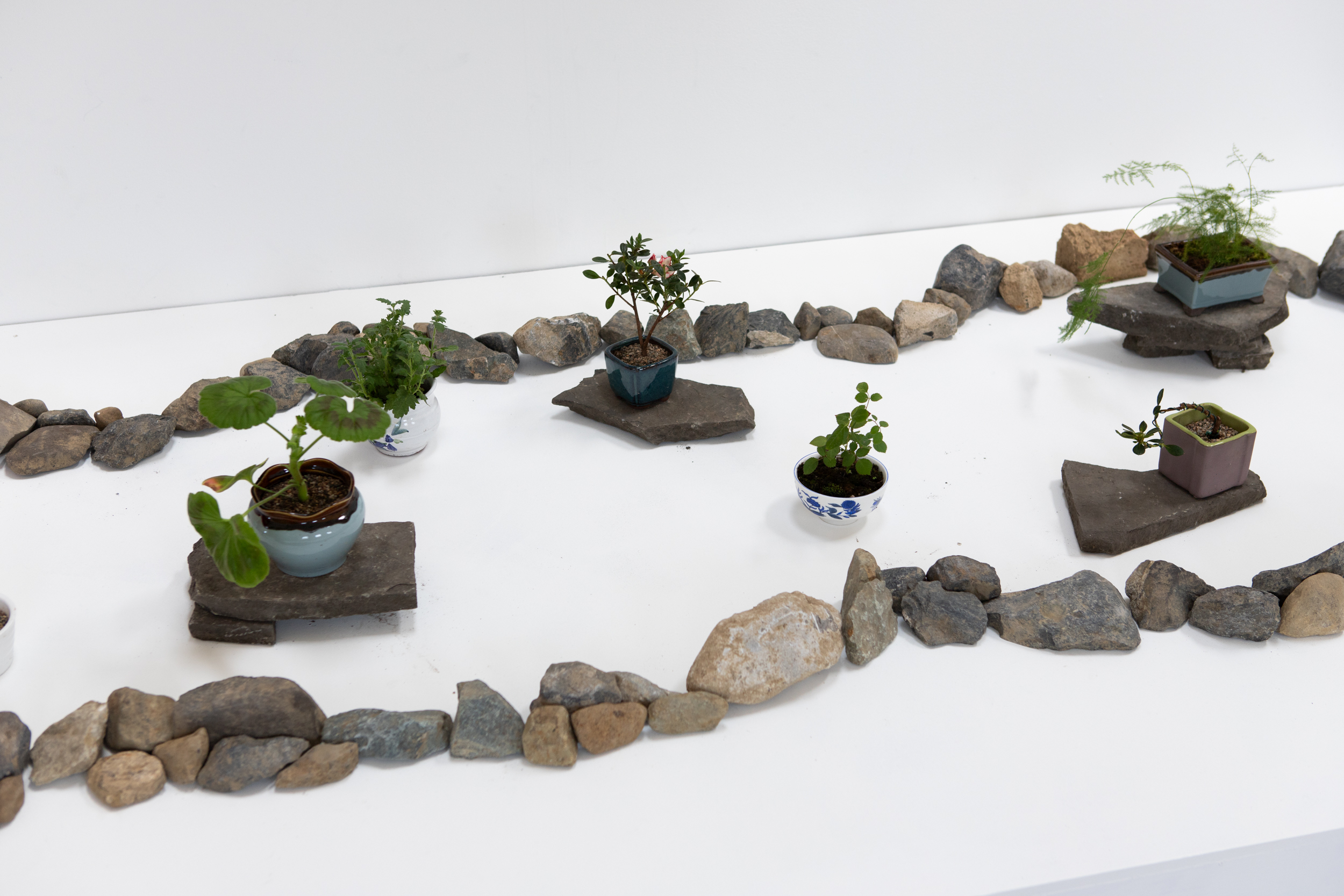 Adrian Uzzaman, ‘Conditions for Growth’, 2025. Video and installation , 244cm x 122cm x 16cm/7 minutes.