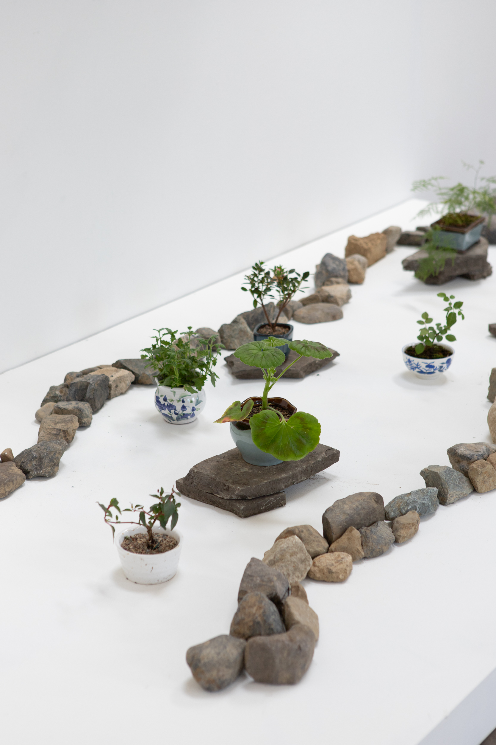 Adrian Uzzaman, 'Still, it grows', 2025. Video and installation , 244cm x 122cm x 16cm/7 minutes.