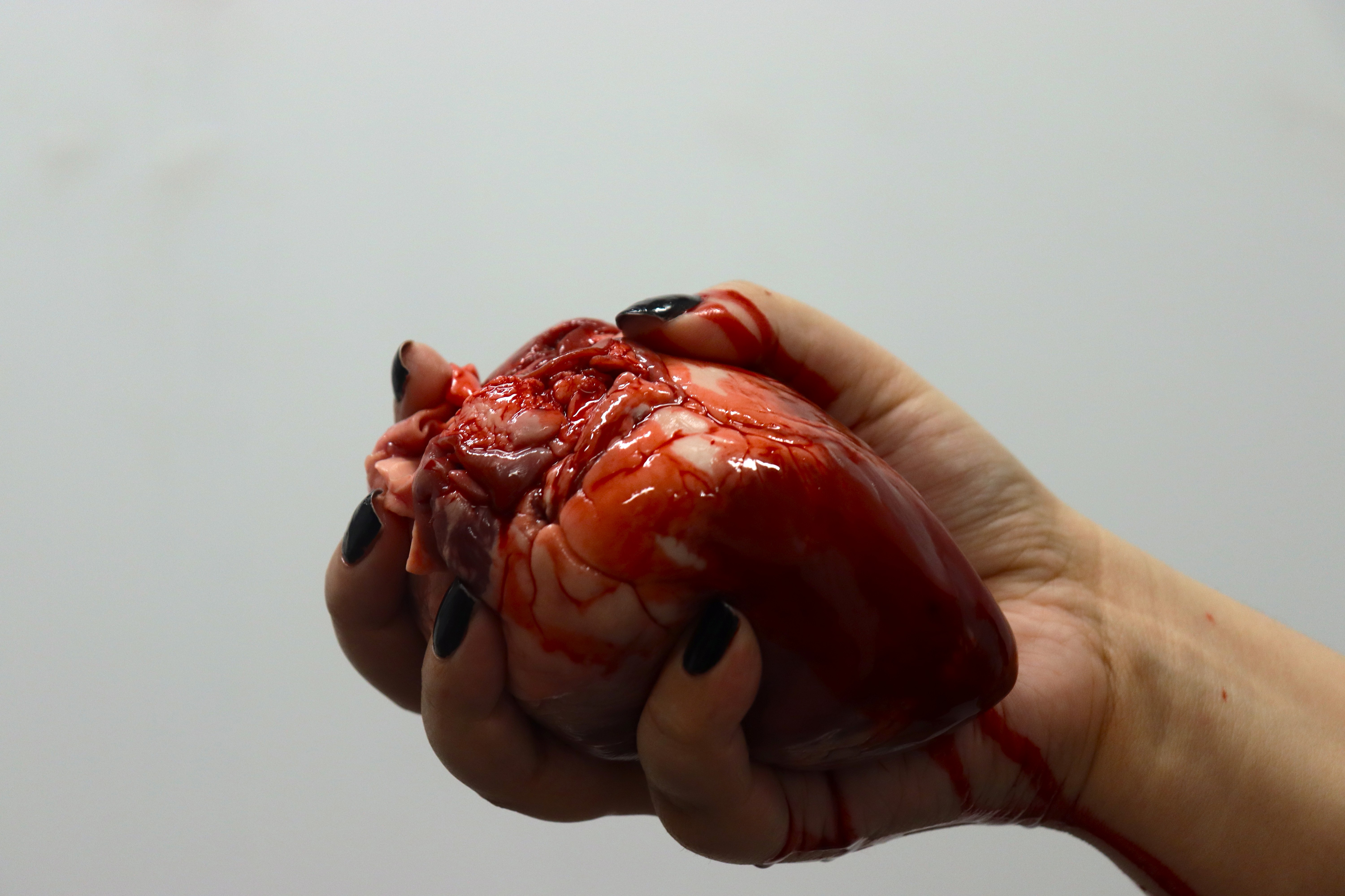 Hand holding a sheep's heart