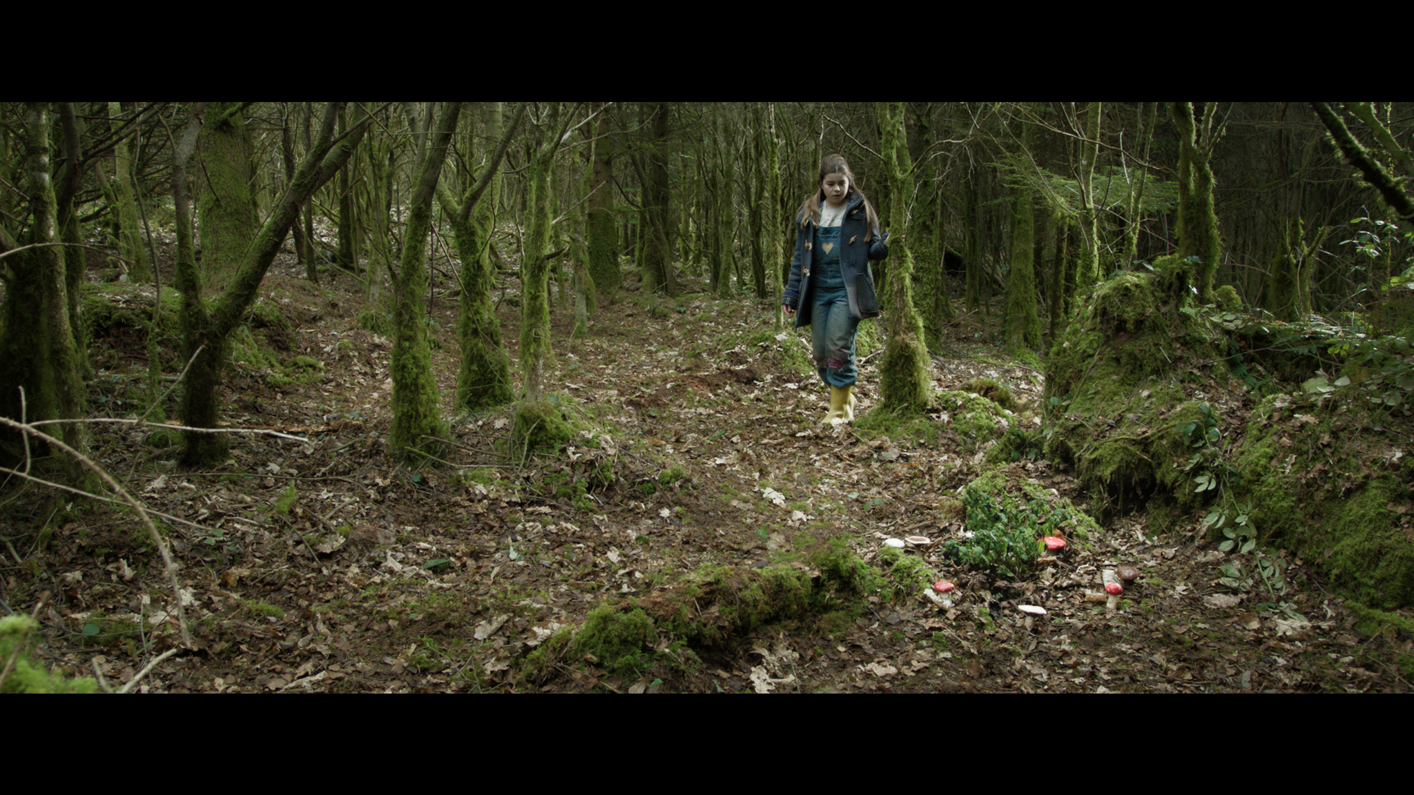 A young girl stands in a clearing, eyeing a fairy ring.