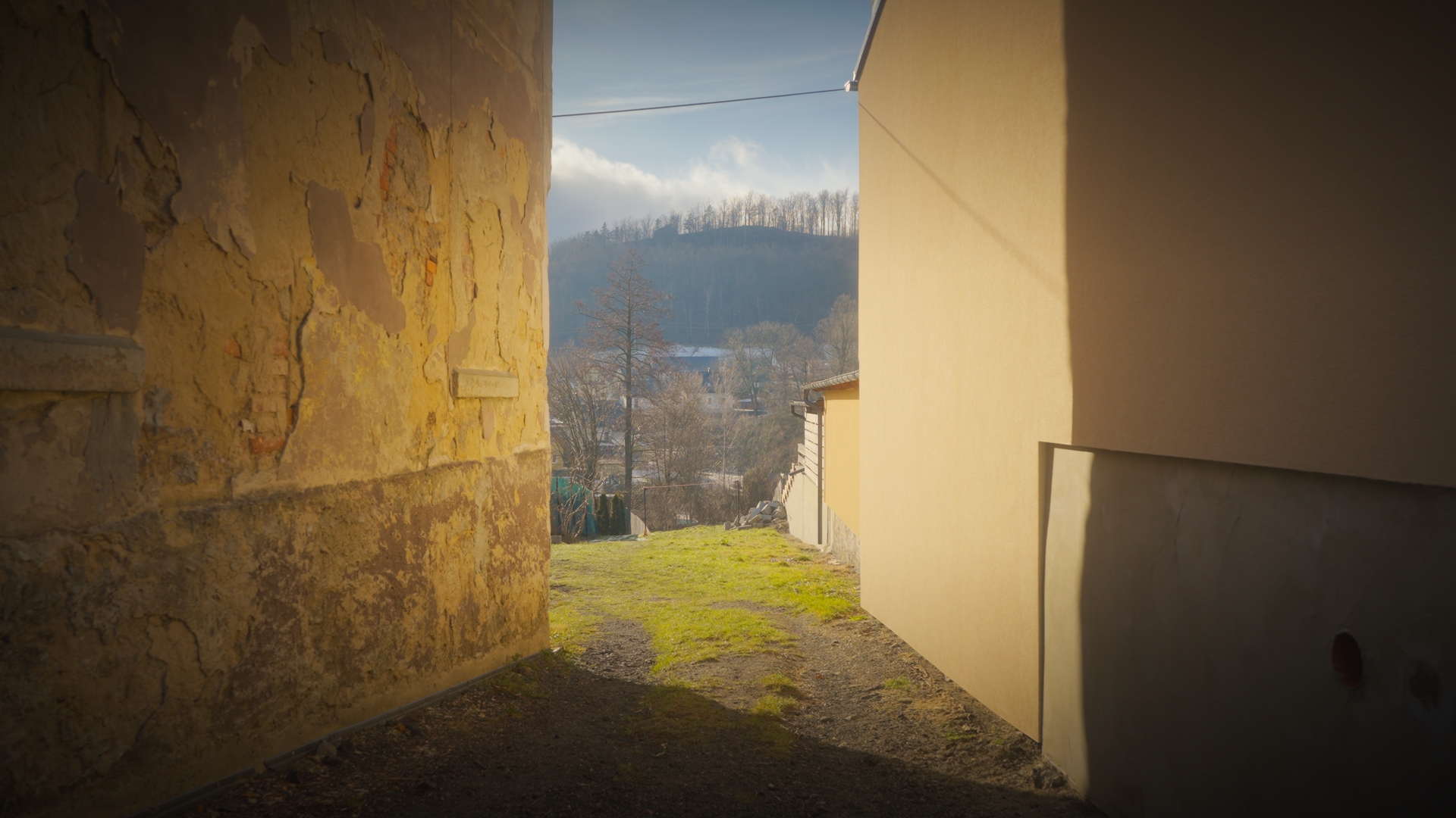 Still from "With Love, Elis".