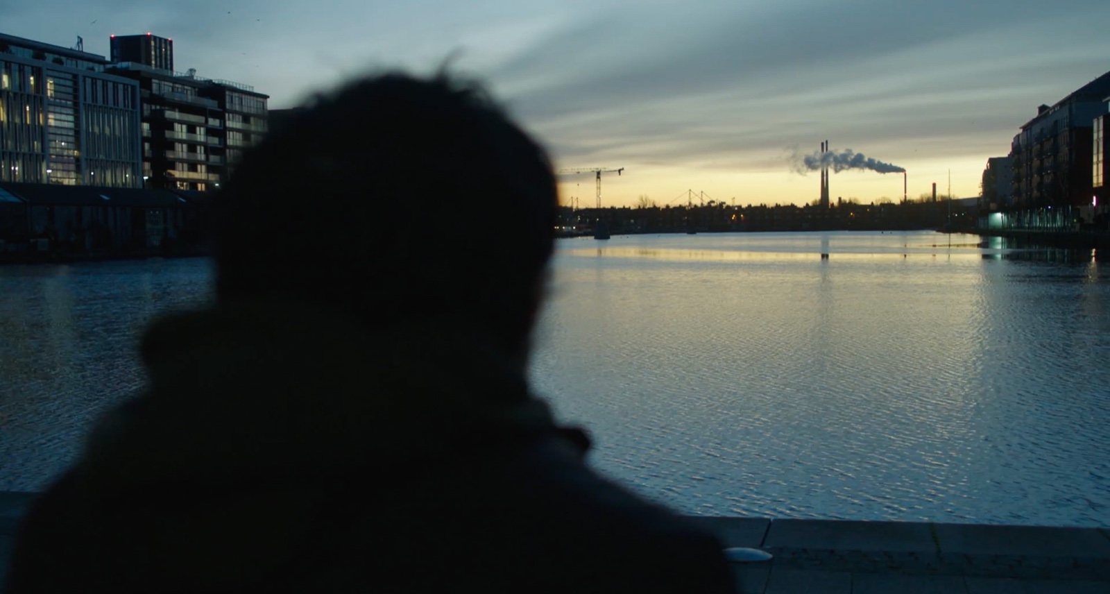 Still from At What Cost?