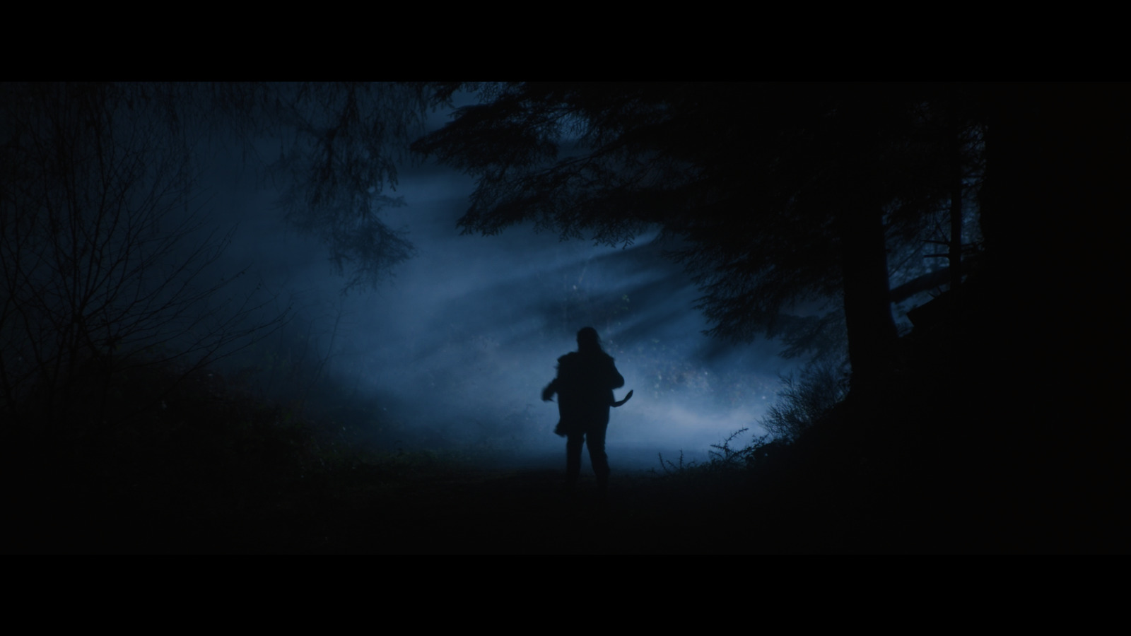 Bláithín running in the forest