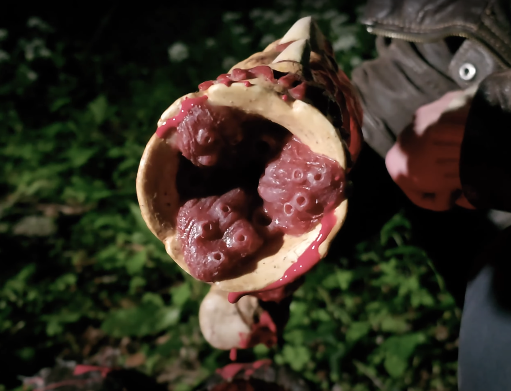 Front view alien gun