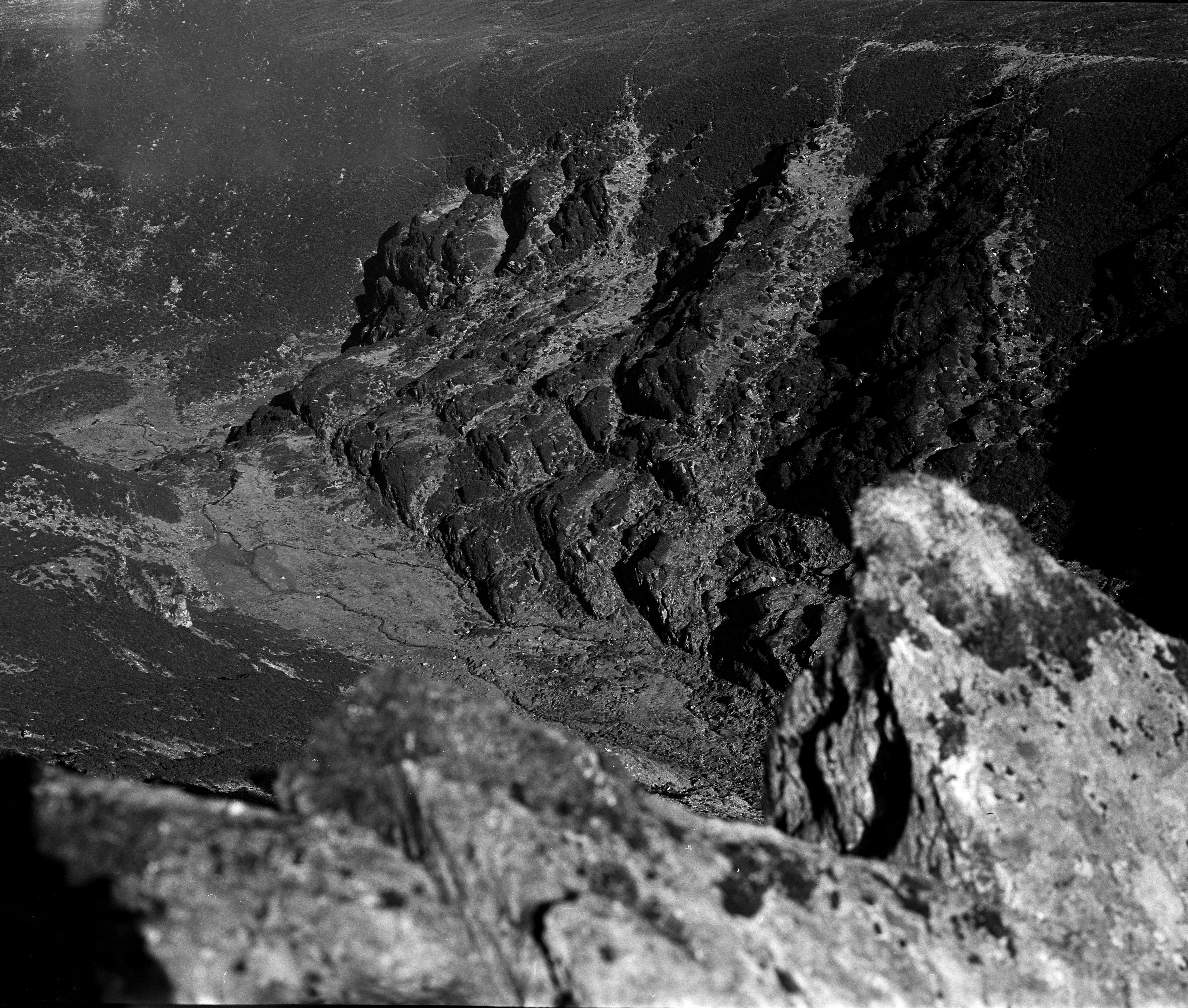 A black and white photograph of a rural landscape showing a grassy field bordered by dense shrubbery. In the foreground, a small pile of stones is partially buried in the grass. The scene is softly lit, with a hazy or foggy atmosphere that gives the image a quiet, contemplative mood