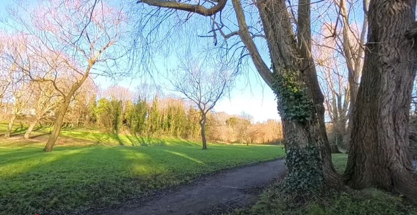 Image from 360 video