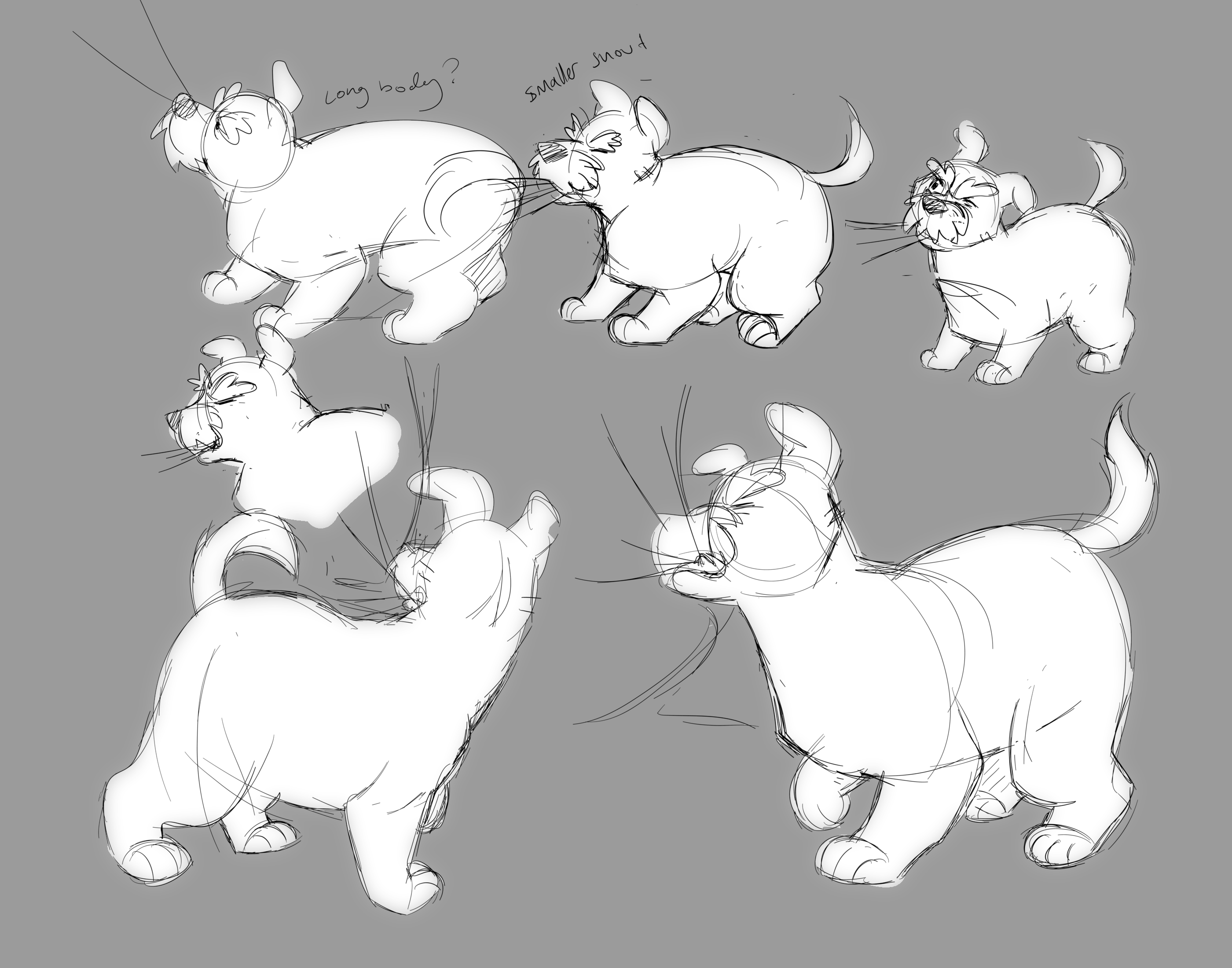 Drawings of white dogs pulling on an invisible curtain.