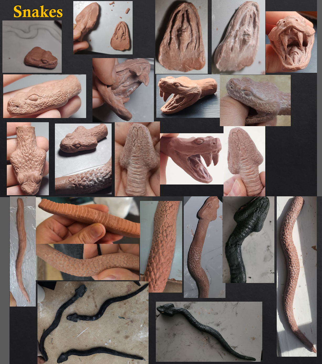 Snakes sculpt and gelatin shapes