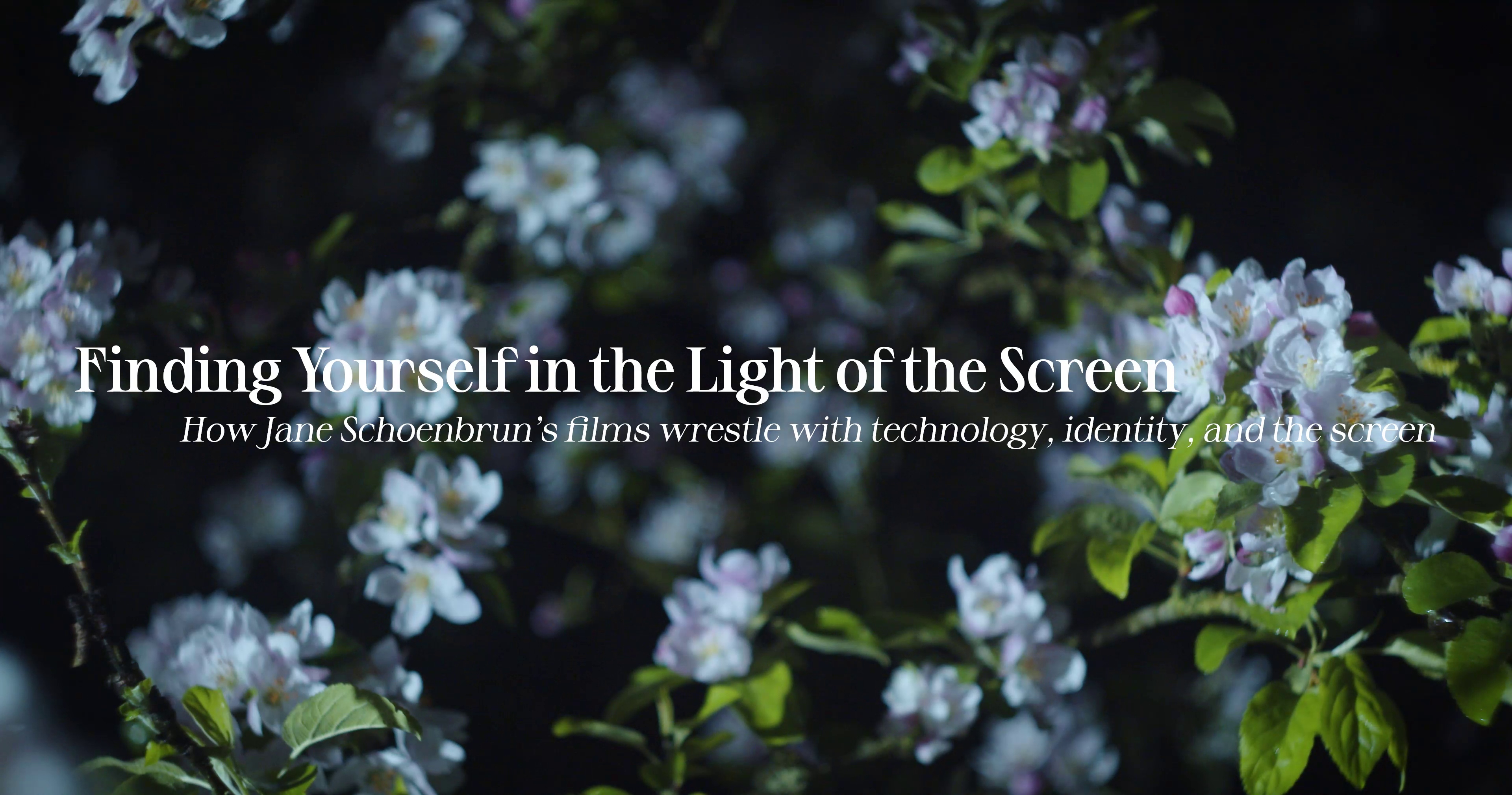 "Finding Yourself in the LIght of the Screen: How Jane Schoenbrun's films wrestle with technology, identity and the screen