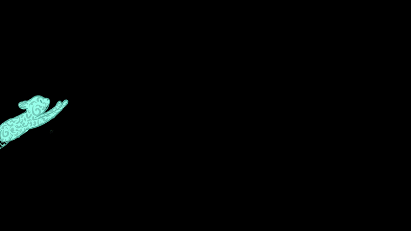 Cat Animation