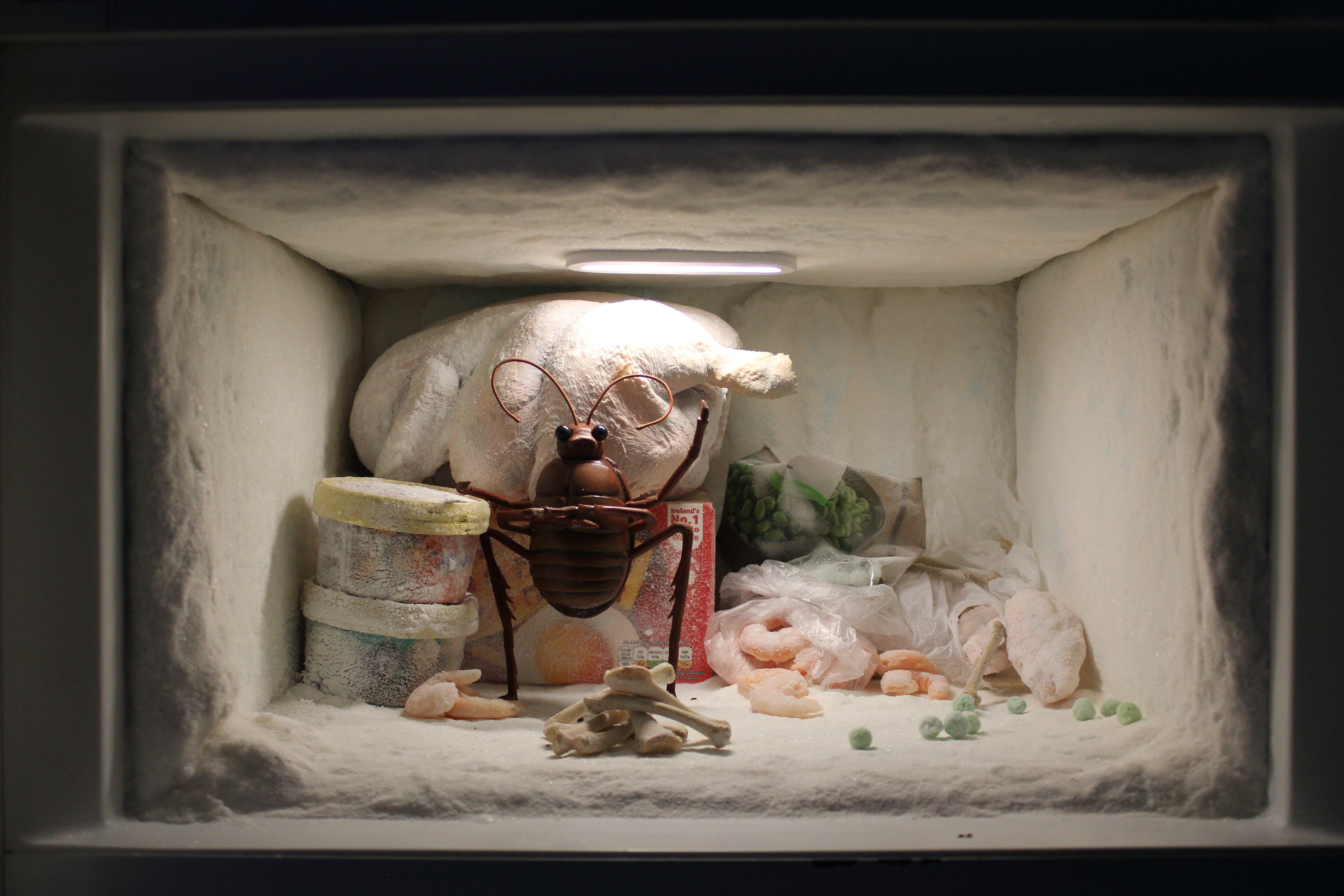 Cyril in his freezer