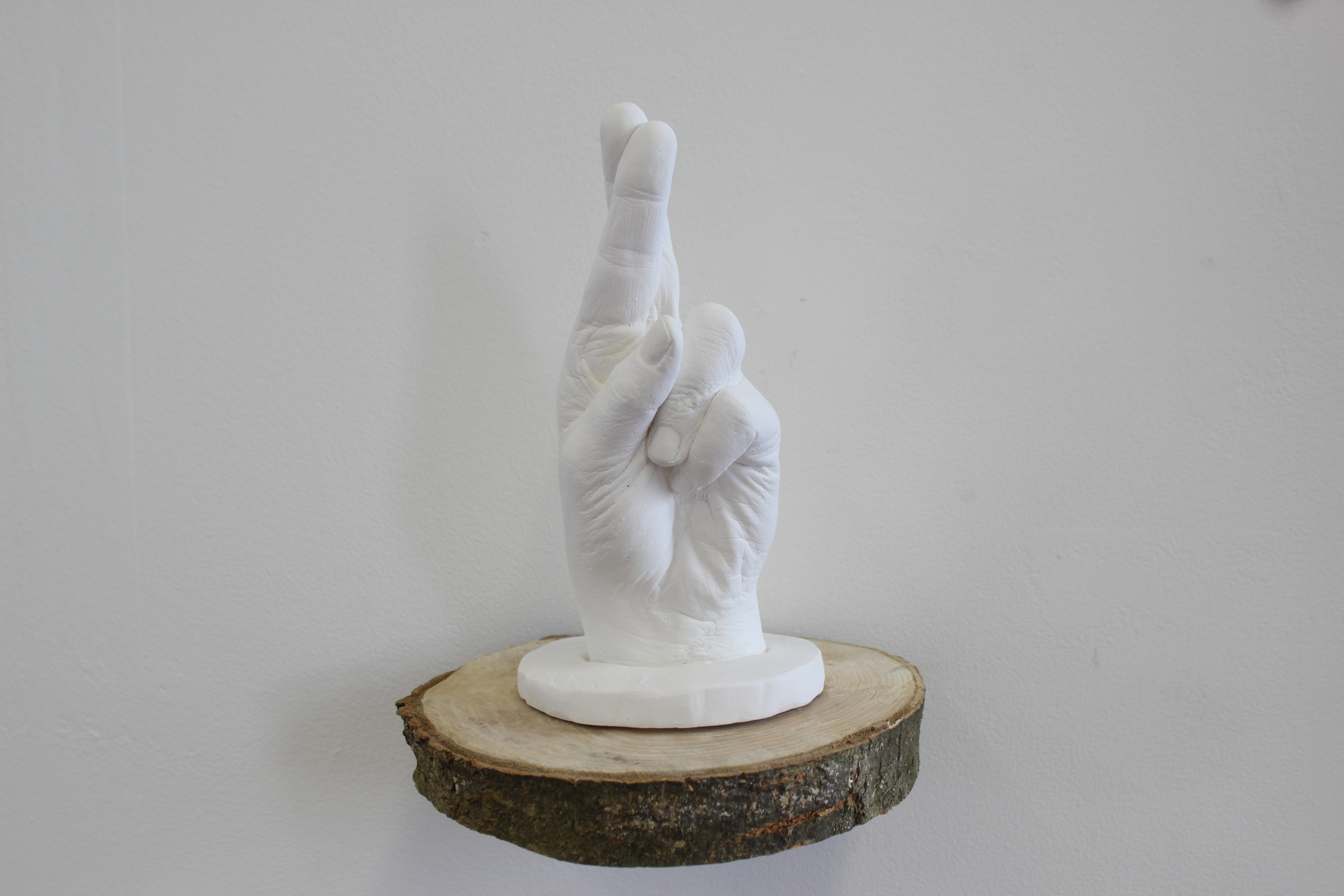 **Holding Hope**, 2026, Hand cast in Plaster, 20cm x 11cm approx. on a natural tree slice