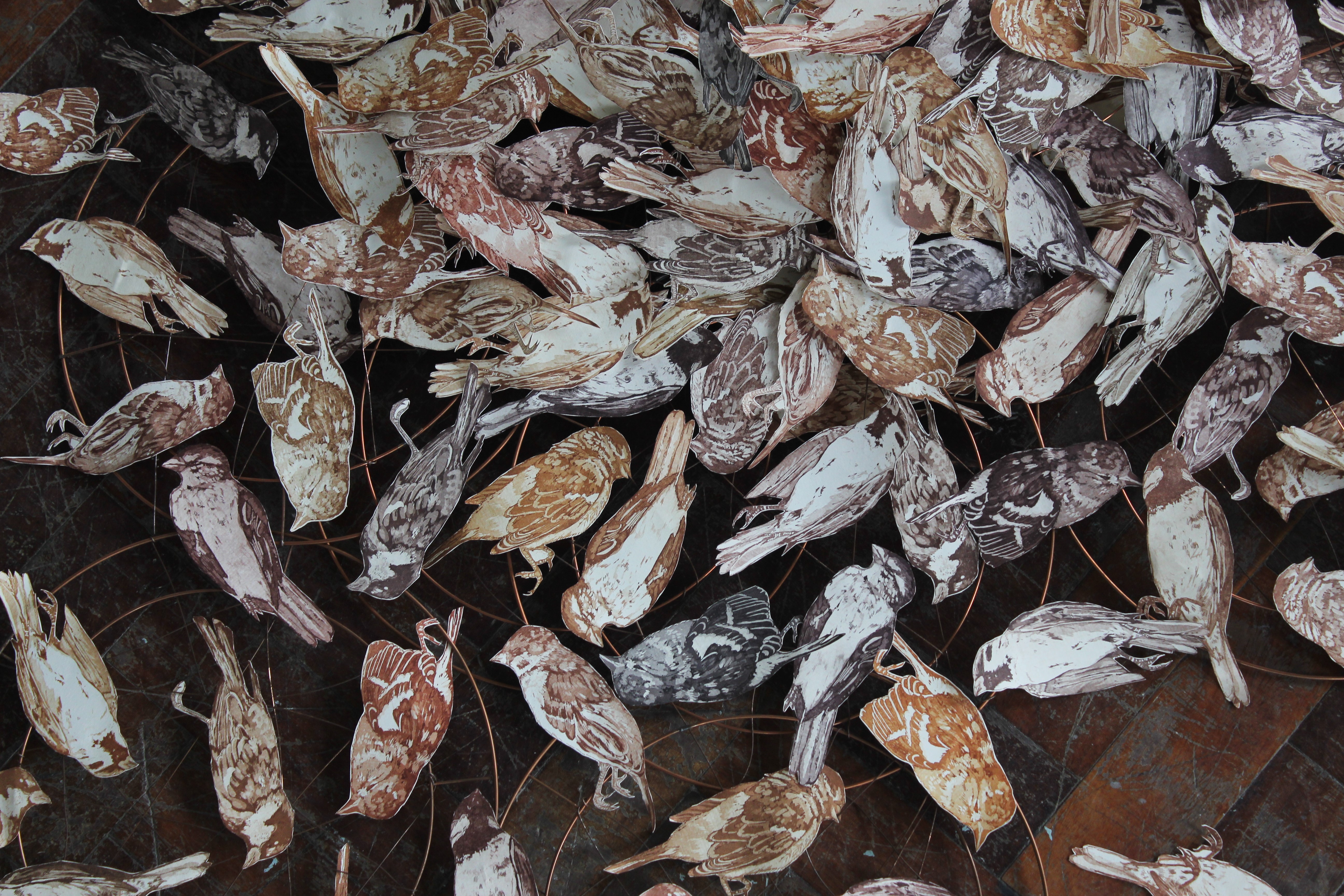close up of a variety of etchings of birds on a brown background