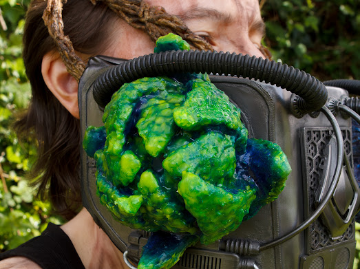 Close up photo of one of the respirator organisms