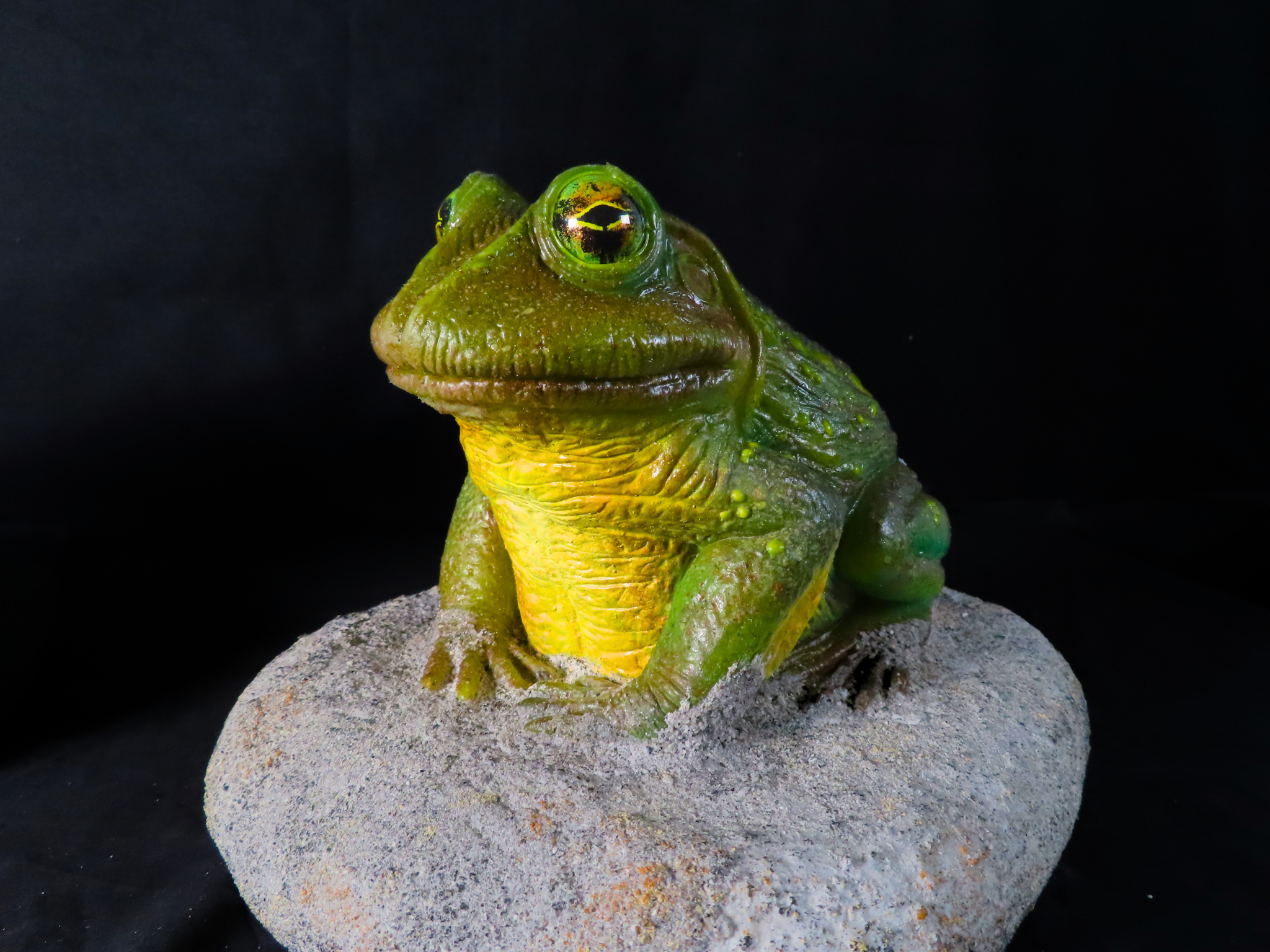 Awakening Frog