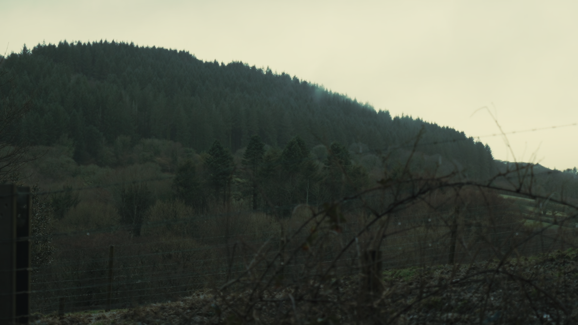 Still from Jannah