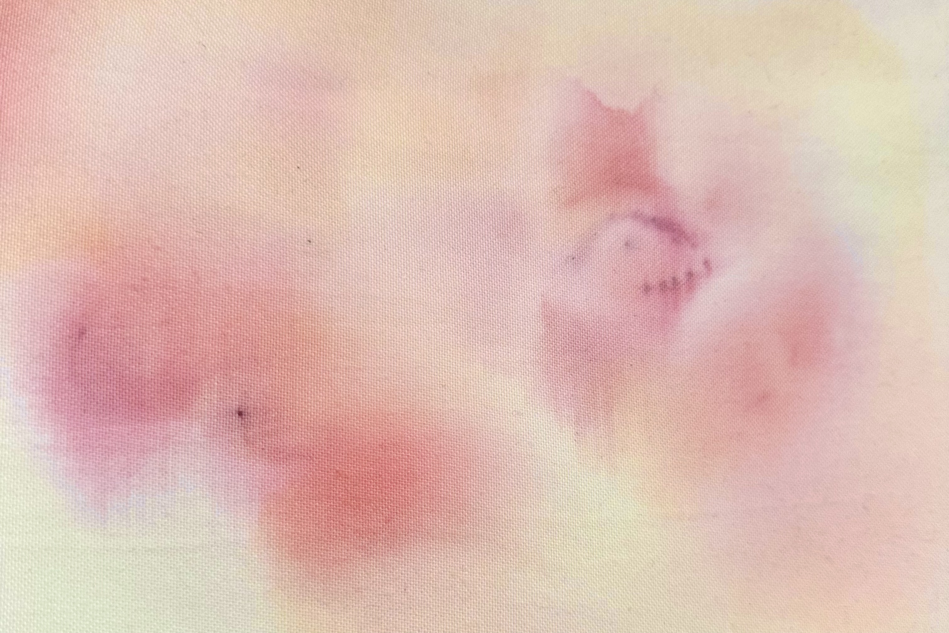 A closeup shot of a cloth material with watercolour pink stains on it. The shape of an eye and a cheek is suggested among the seeming stains.