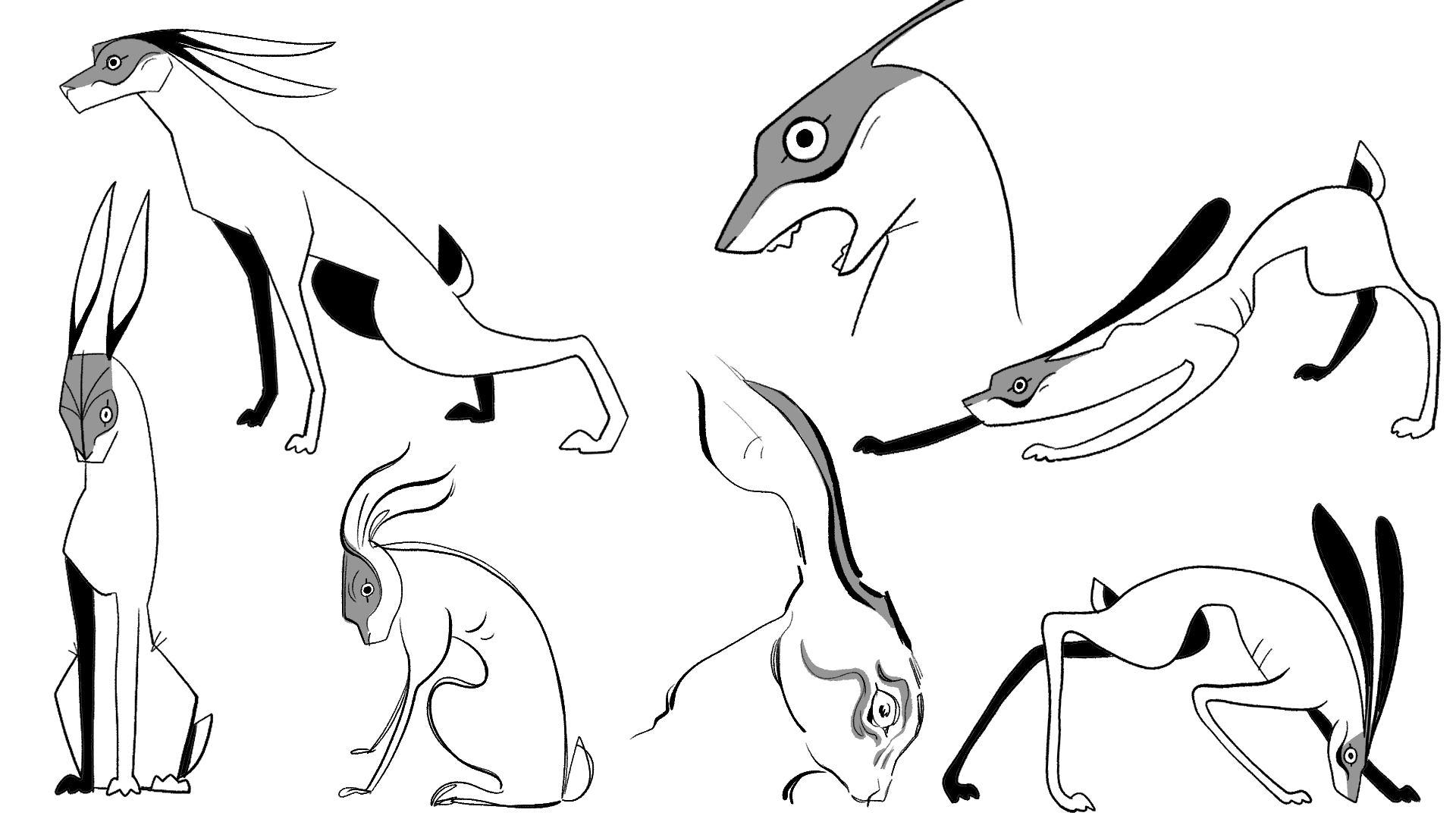 Rábach Hare Design Exploration