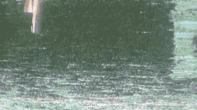 Person holding up hand accordingly which appears on screen