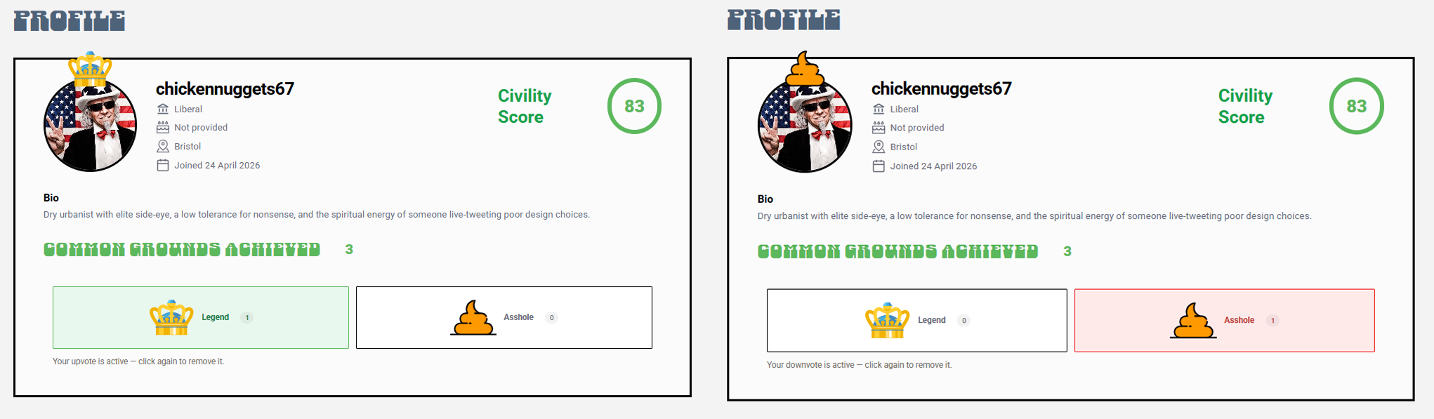User Profile - Voting System