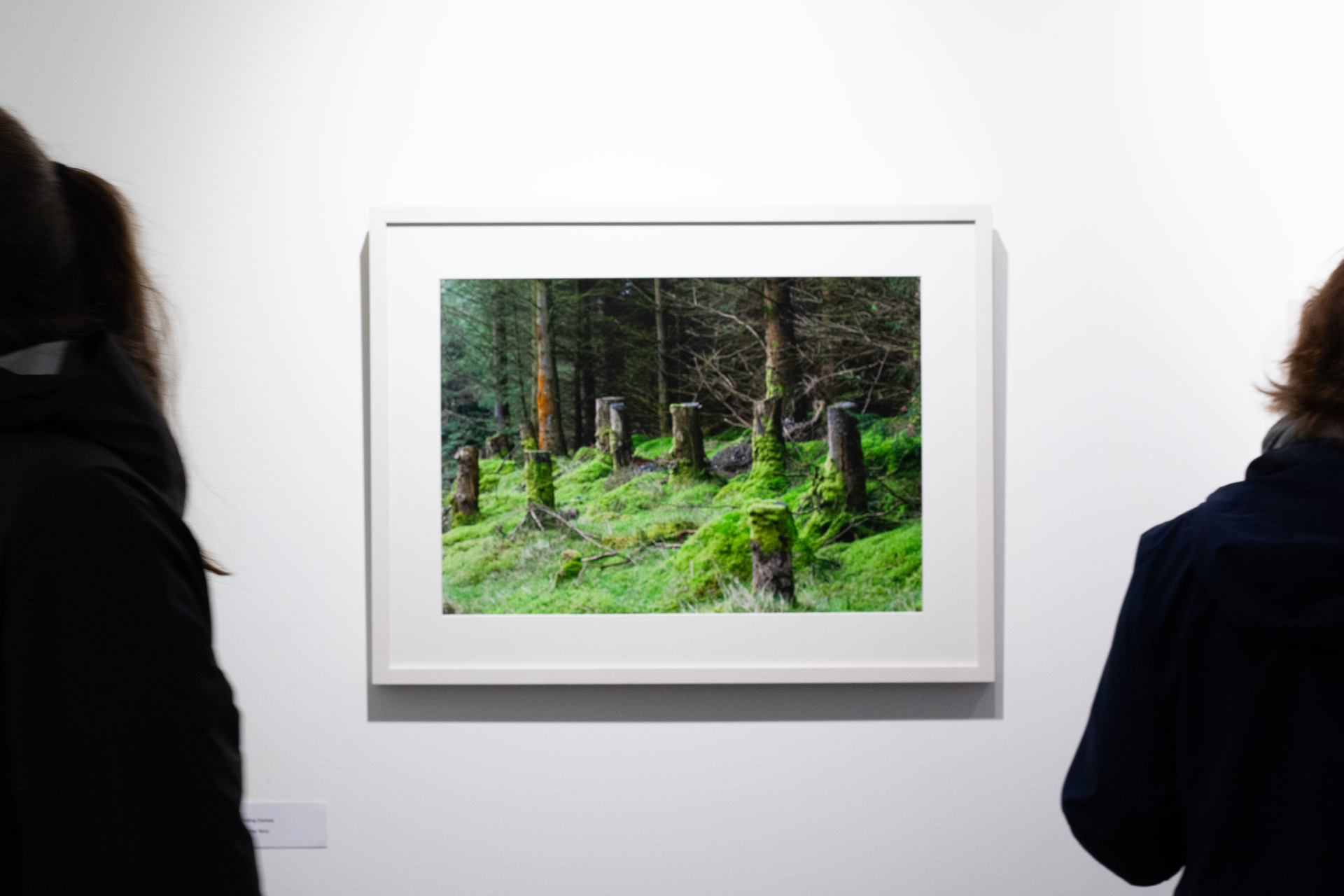 IADT Undertow photo of an picture on the wall