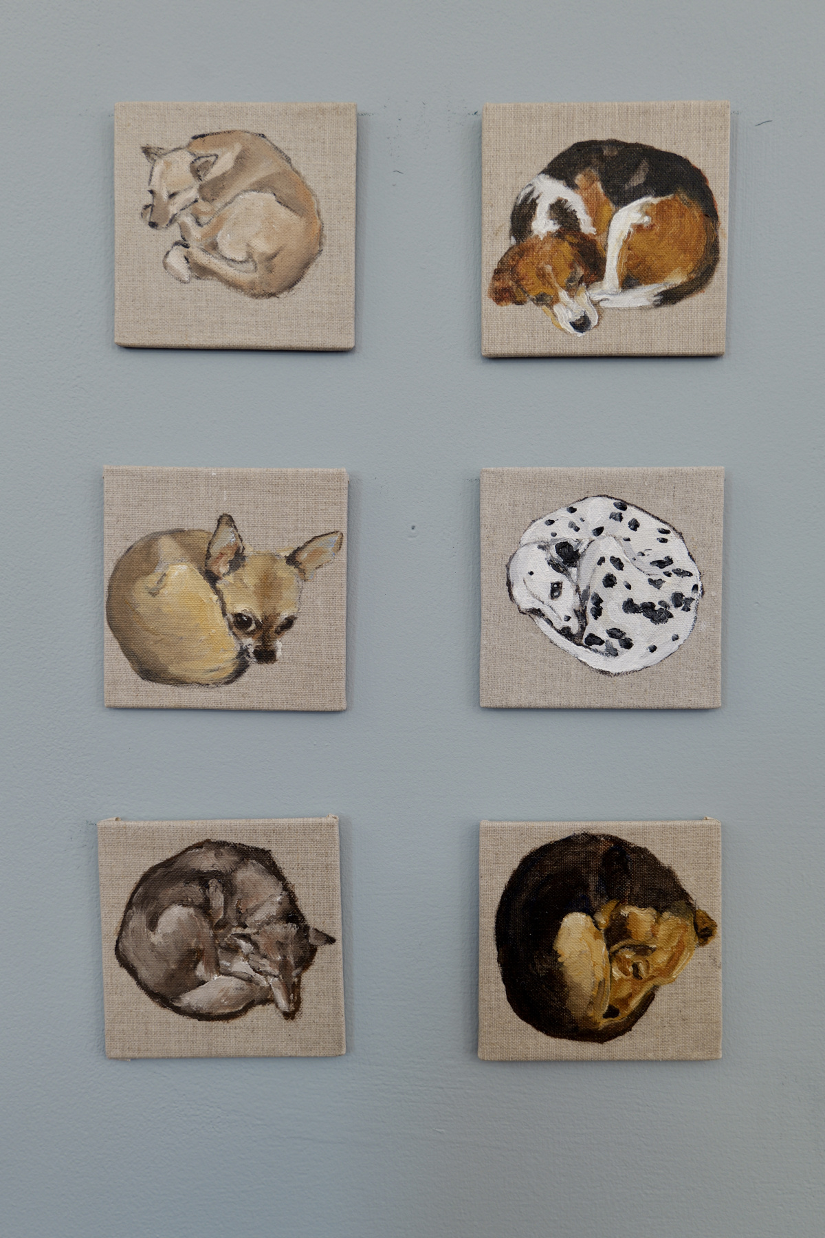 6 small square paintings of dogs