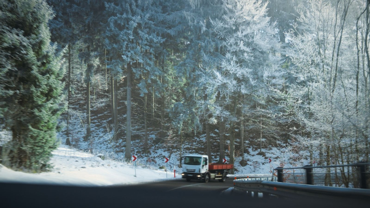 Still from With Love, Elis. 