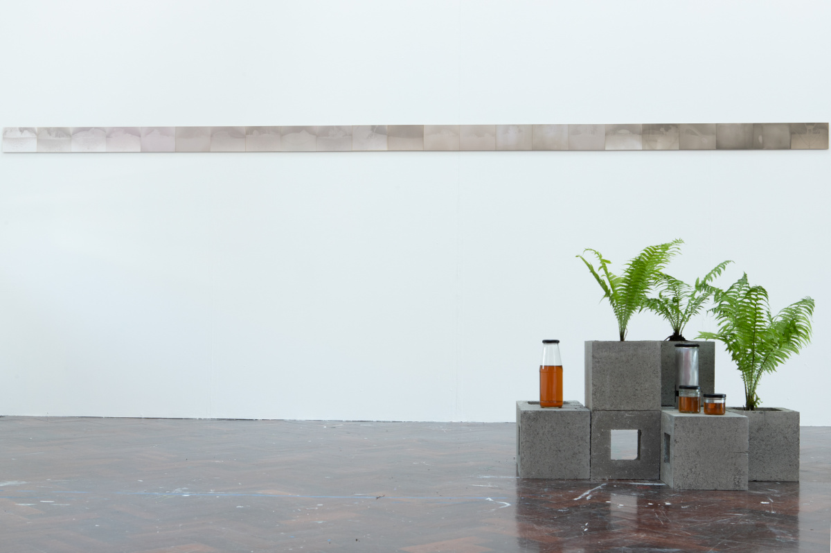 On Show Installation