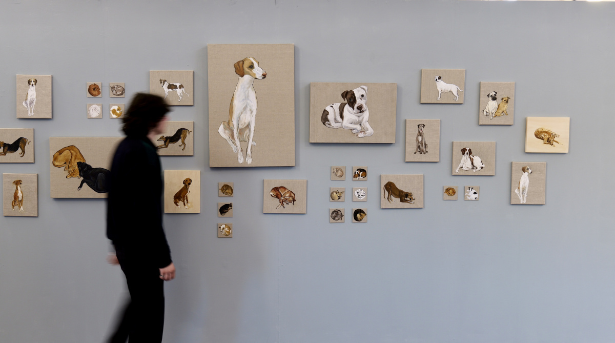 person viewing paintings on gallery wall