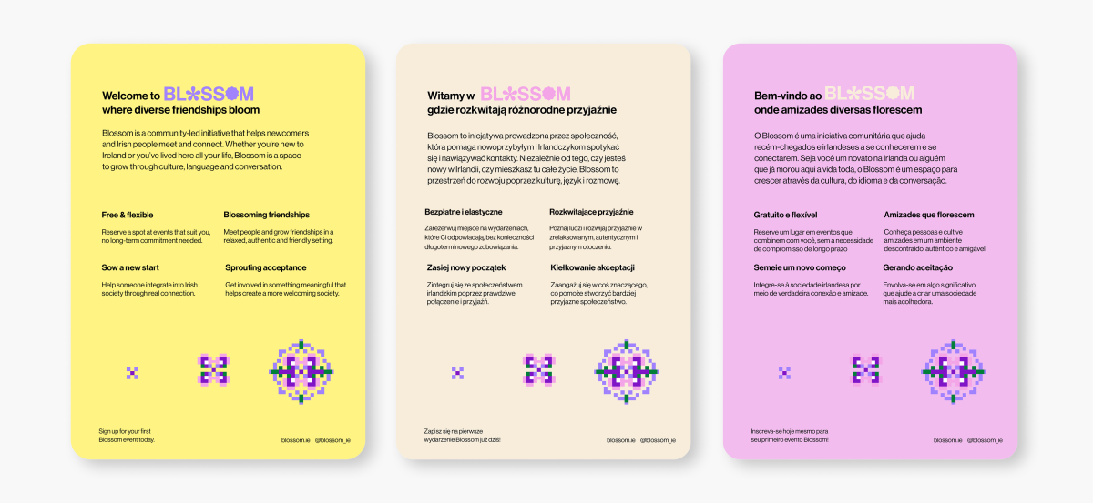 3 multi-lingual leaflets
