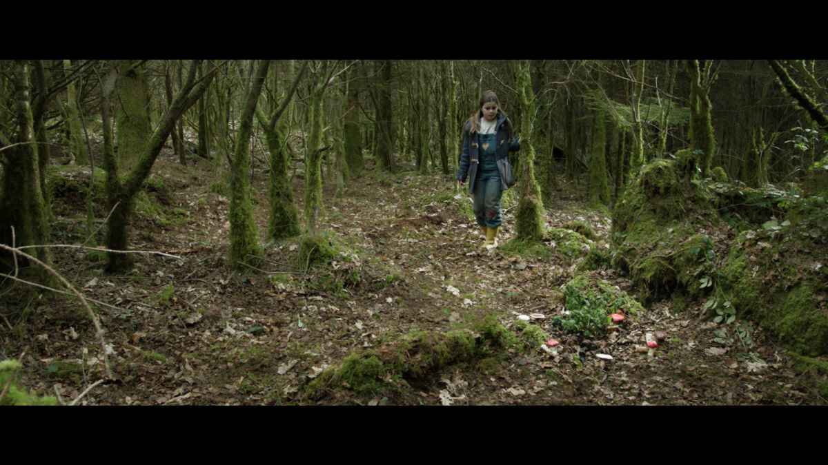 A young girl states at a small fairy ring in a clearing