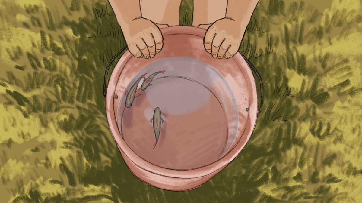 Little red fin fishes swim around in a water bucket as the little girl curiously pokes and plays with them.