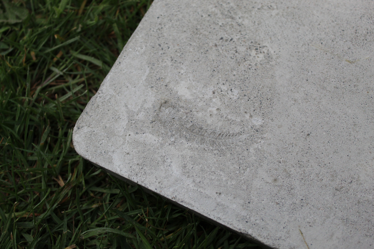 concrete block with fern impression