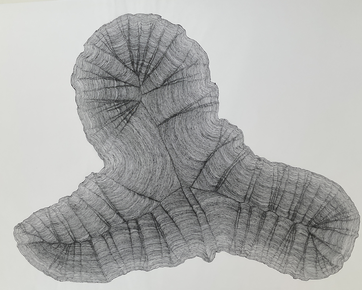 'Life Time', 2025, Fine line drawing on Japanese paper, 95 x 65 cm. 