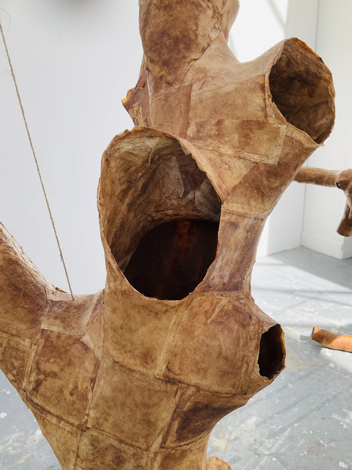 'Here There and Everywhere', 2025, detail, dimensions variable.